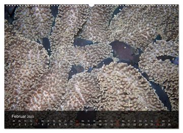 CALVENDO Wandkalender Unterwasser Strukuren (Premium, hochwertiger DIN A2 Wandkalender 2023, Kunstdruck in Hochglanz)