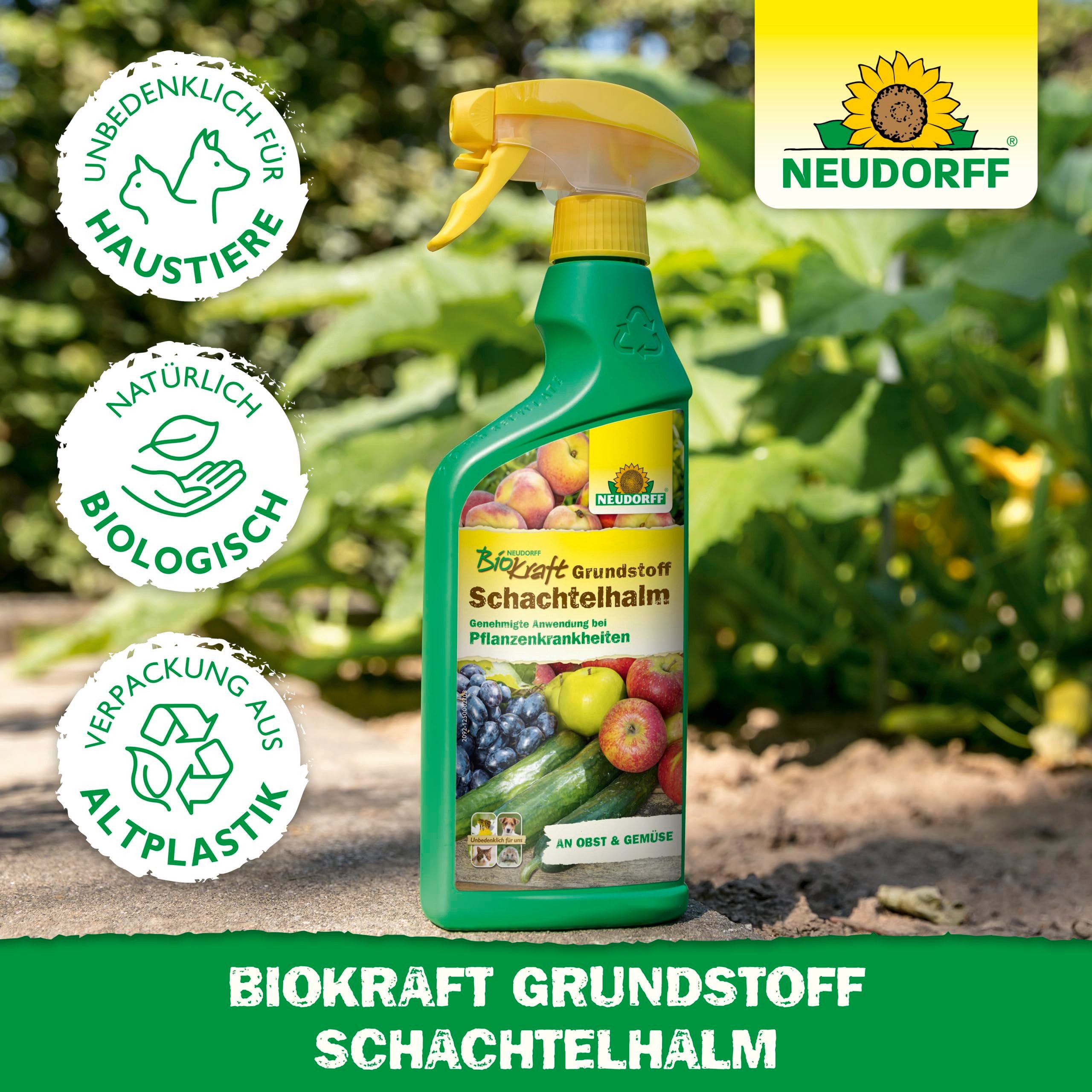 Neudorff Pflanzen-Pilzfrei Neudorff BioKraft Grundstoff Schachtelhalm AF 500 ml für 50m², 0.5 l, Anwendungsfertiges Spray gegen Pilzkrankheiten an Obst und Gemüse, 100% natürliche Inhaltsstoffe