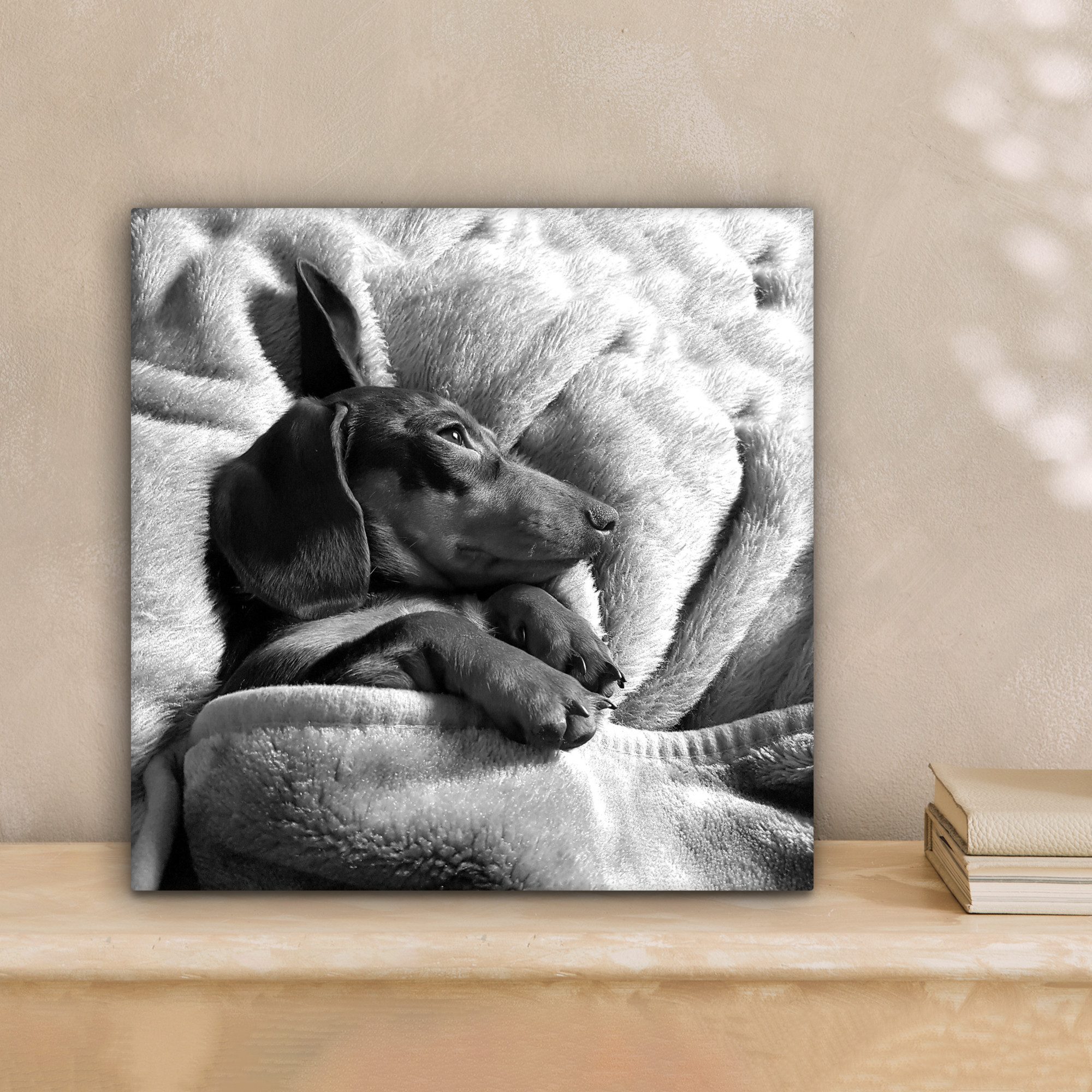 OneMillionCanvasses® Leinwandbild Niedlicher Dackel liegt unter der Bettdec günstig online kaufen