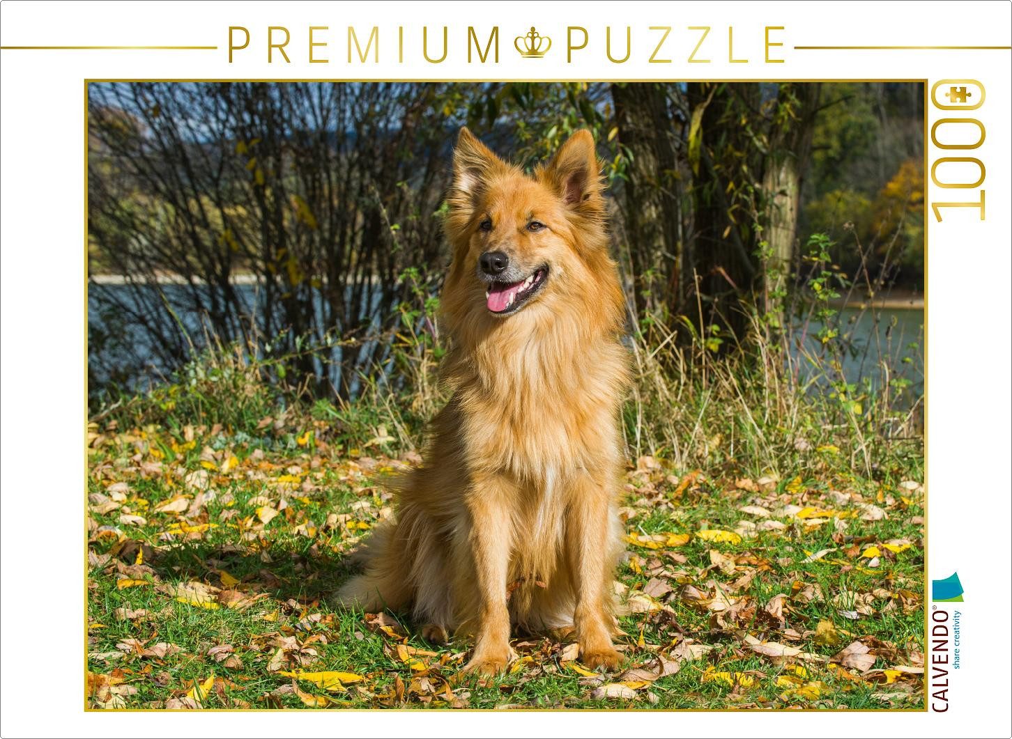 CALVENDO Puzzle CALVENDO Puzzle Harzer Fuchs im Herbst, 1000 Teile Lege-Größe 64x48cm, 1000 Puzzleteile