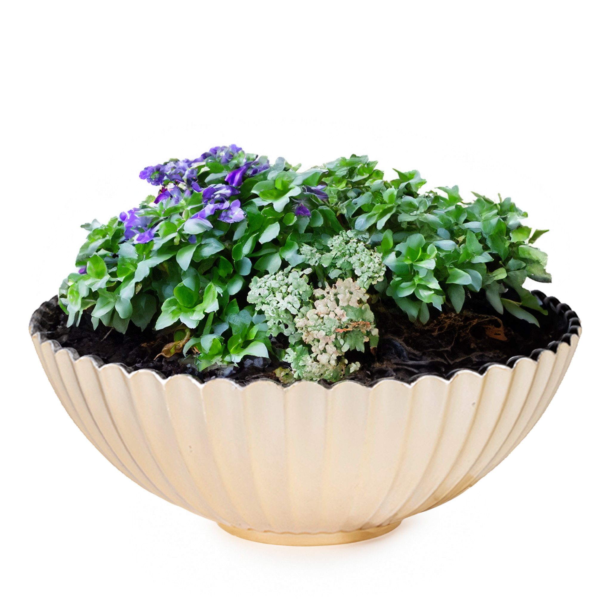 matches21 HOME & HOBBY Blumentopf Runde günstig online kaufen