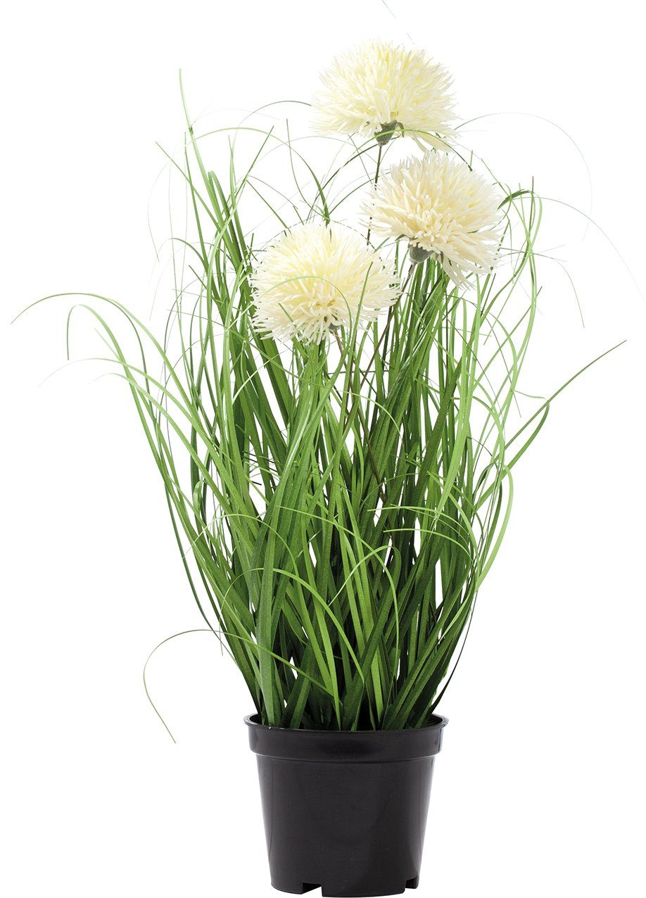 Kunstpflanze Ziergras mit 3 weißen Kugelblüten getopft Schilfgras, B&S