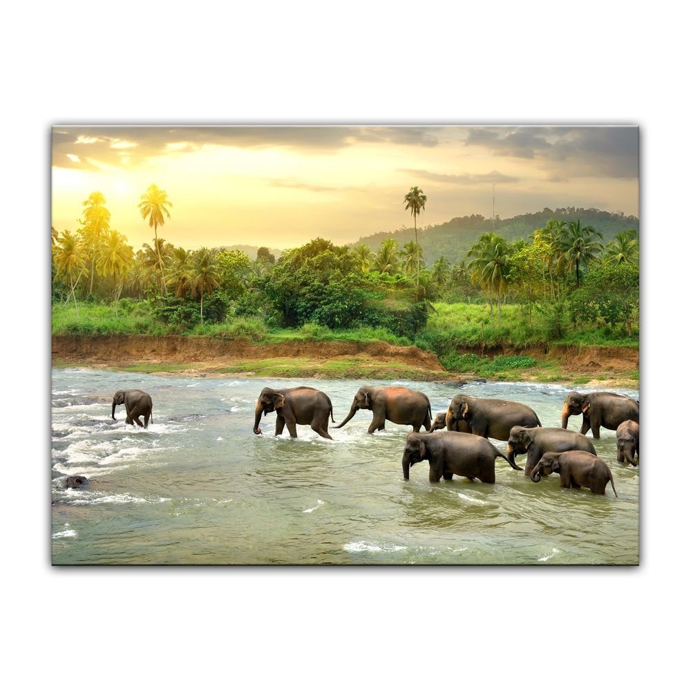 Bilderdepot24 Leinwandbild Elefanten im Fluss, Tiere