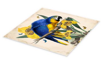 Posterlounge Poster Mandy Reinmuth, Exotische Papageien IX, Wohnzimmer Vintage Illustration
