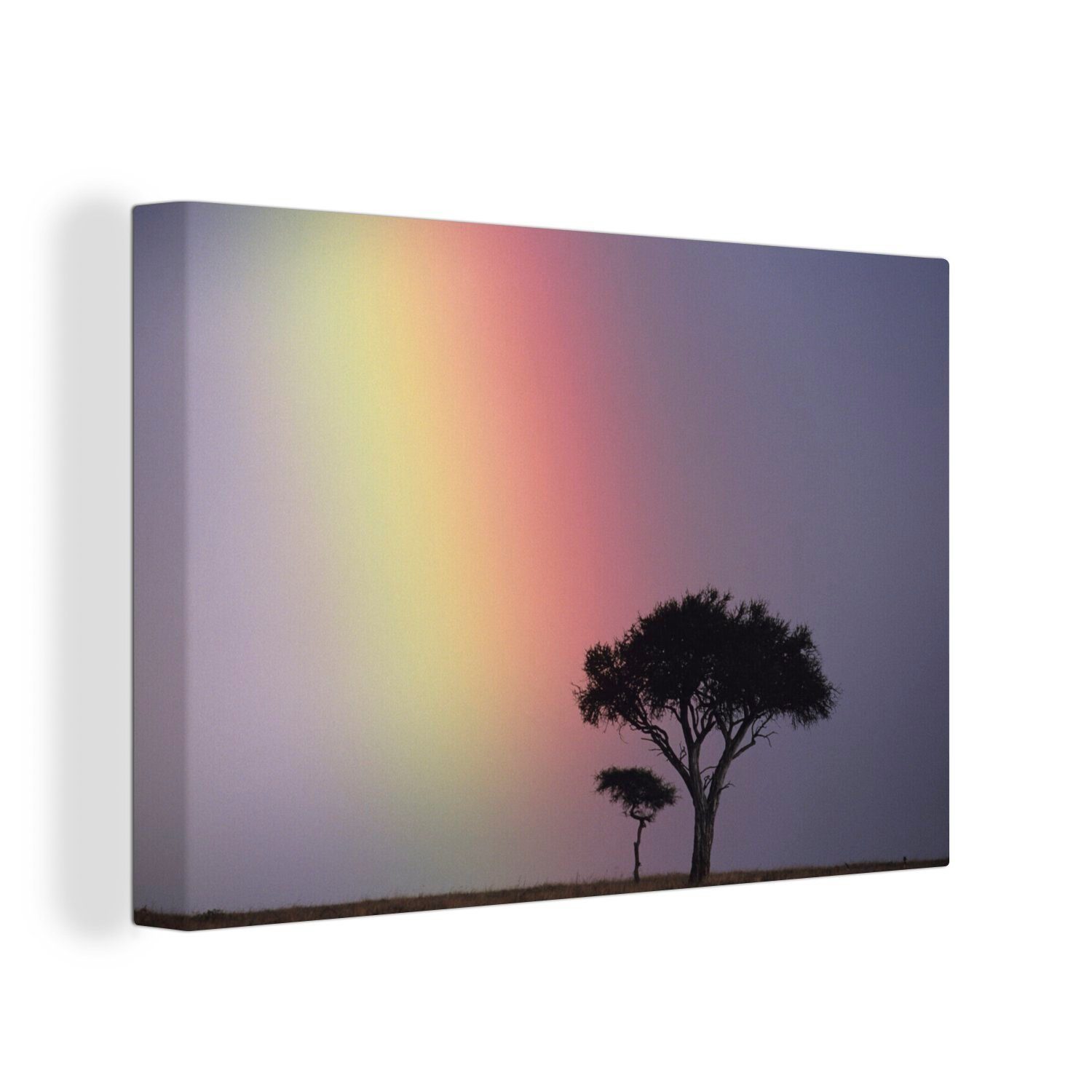 OneMillionCanvasses® Leinwandbild Ein Regenbogen über einem Akazienbaum in der Savanne, (1 St), Wandbild Leinwandbilder, Aufhängefertig, Wanddeko, 30x20 cm