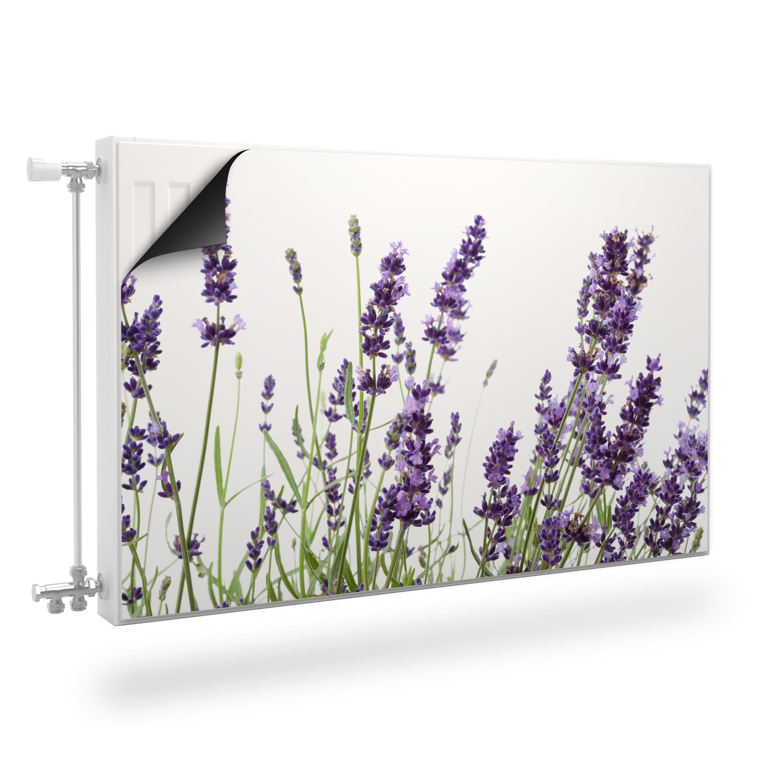 Muralo Magnetfolie Heizkörperverkleidung Zarte Lavendelblüten – Heizkörperabdeckung, 80x60 cm, abriebfest, abwischbar