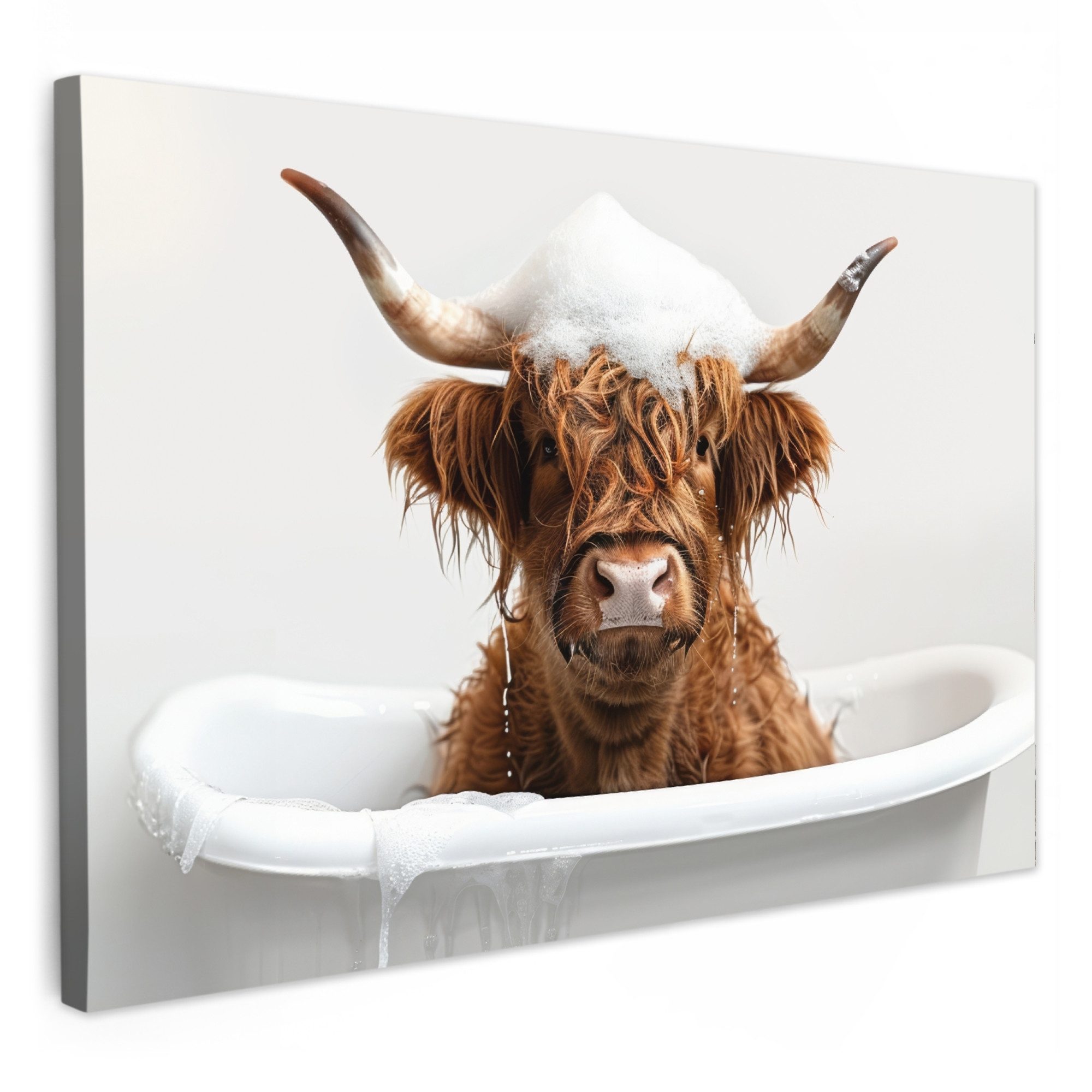 OneMillionCanvasses® Leinwandbild Highlander - Bad - Kuh - Tiere - Schaum, günstig online kaufen