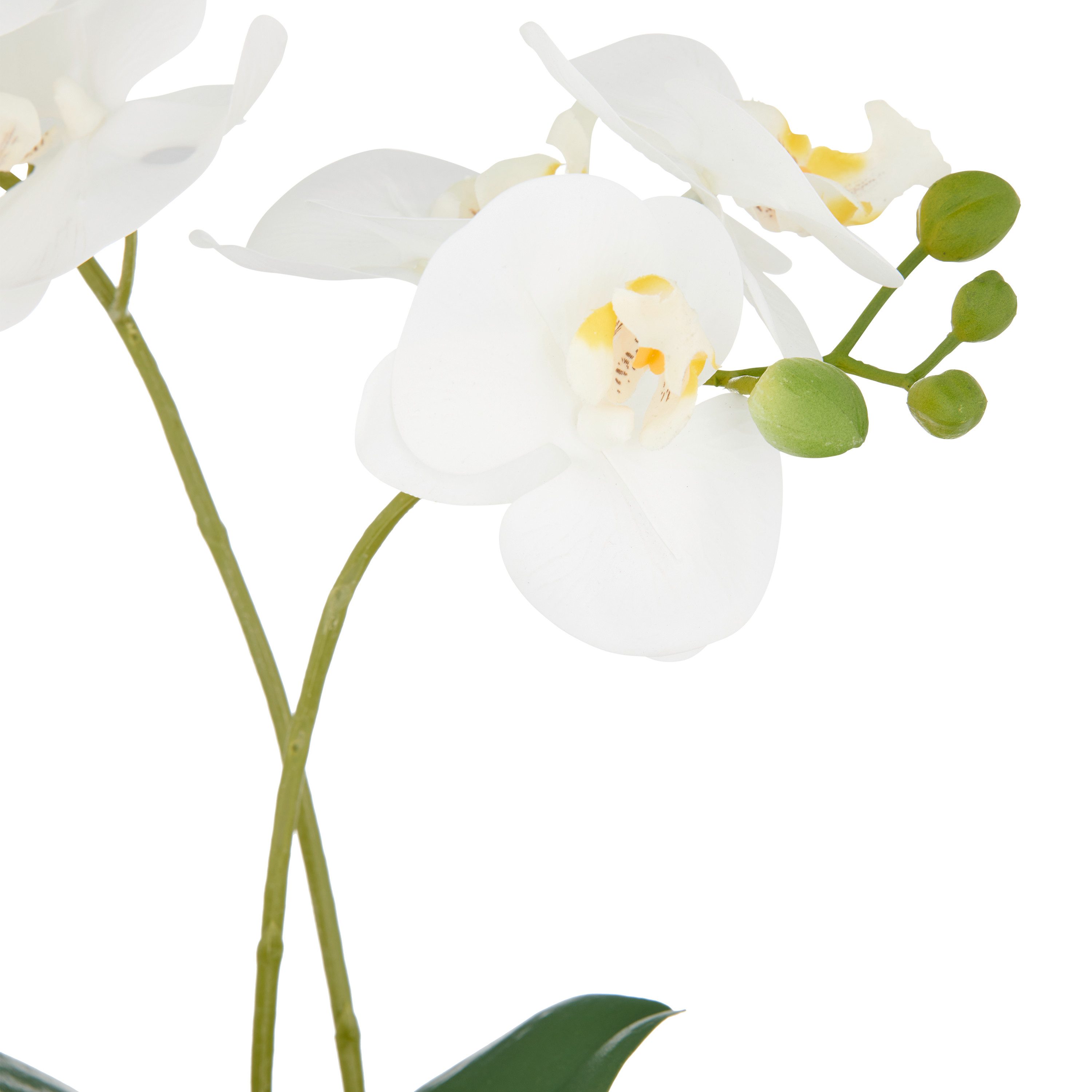 Kunstorchidee Orchidee Phalaenopsis, Creativ green, Höhe 38 cm, mit real-to günstig online kaufen