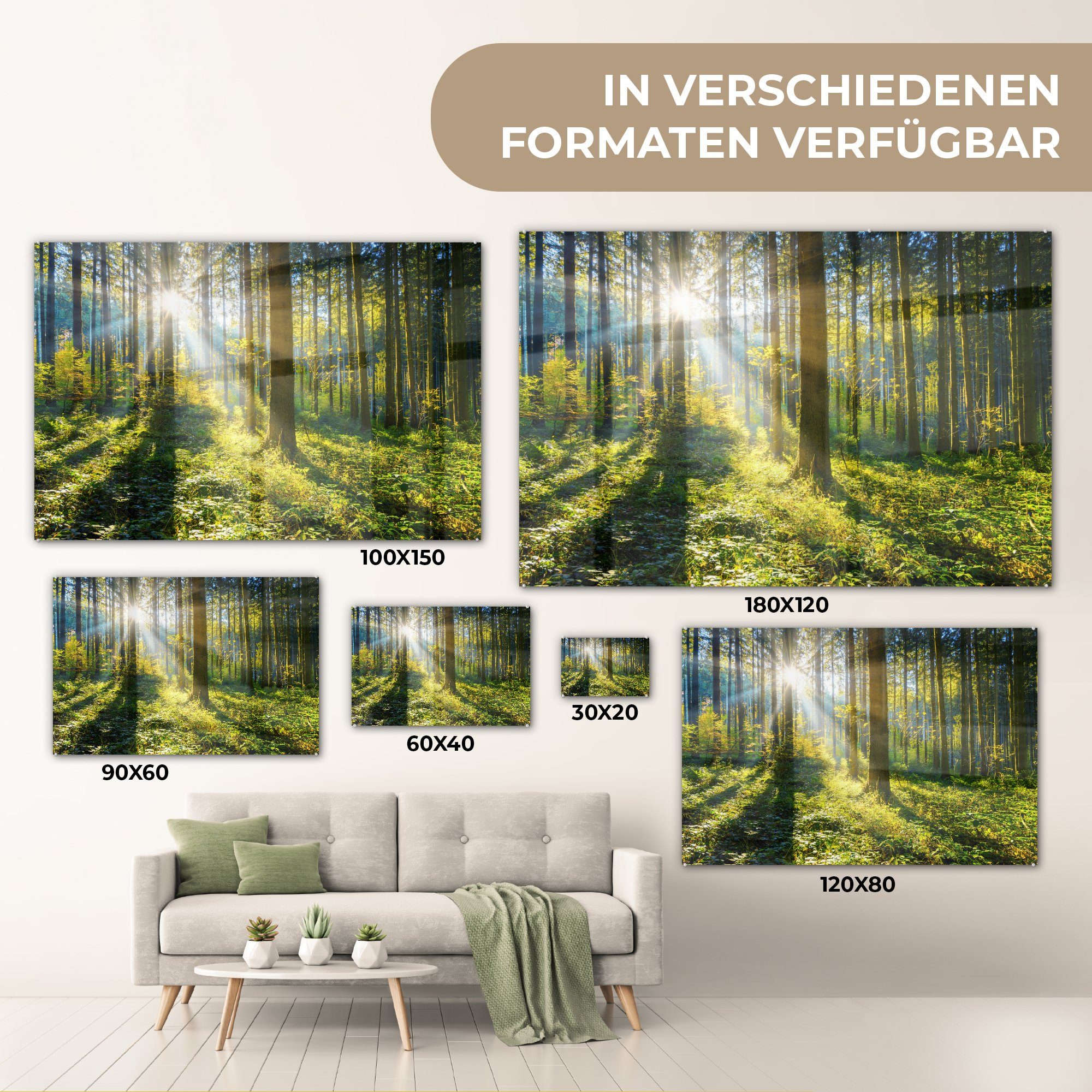 Schlafzimmer Sonne Acrylglasbild Acrylglasbilder Wald (1 & - Wohnzimmer MuchoWow Sommer, St), -