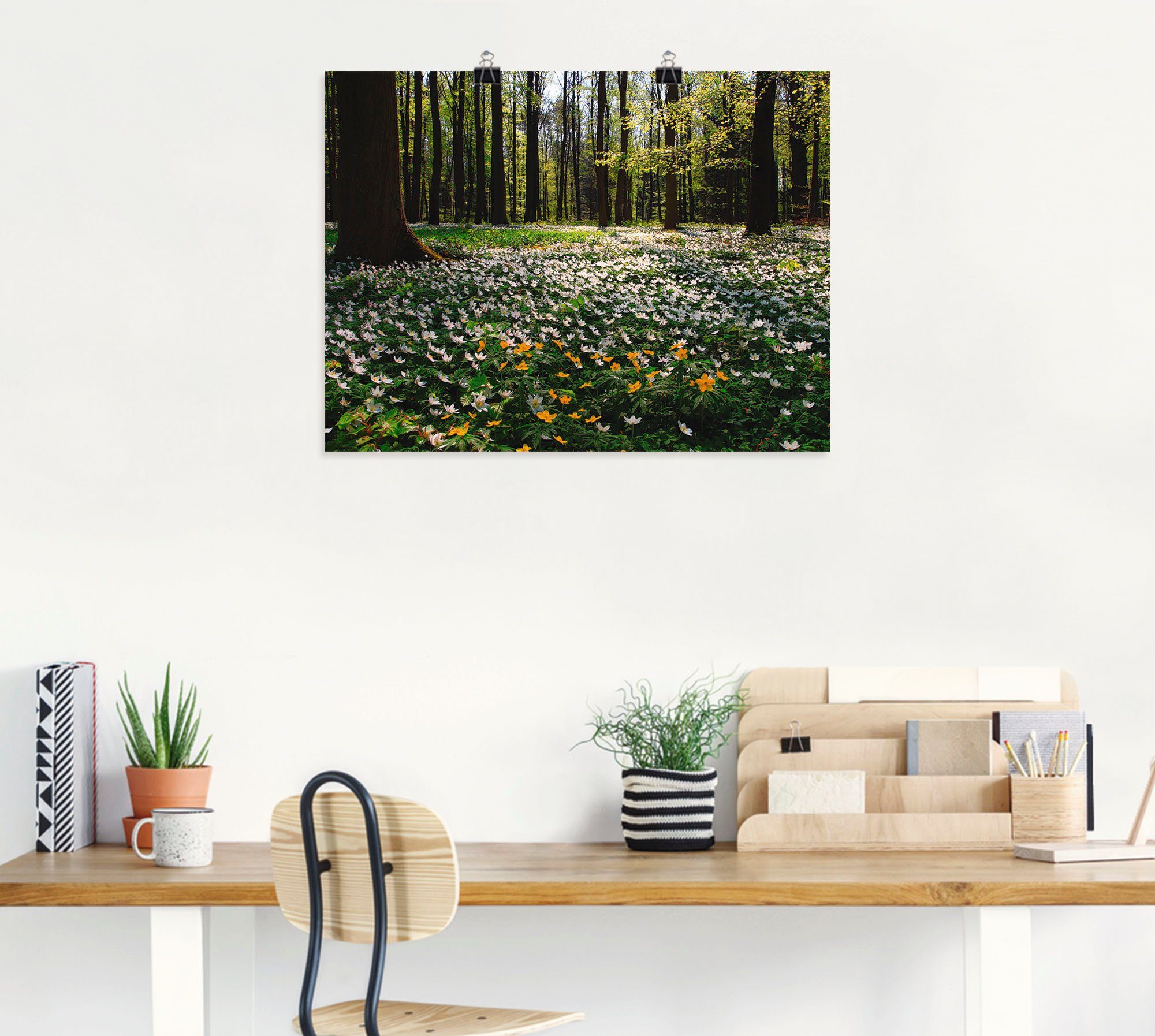 Artland Wandbild Frühlingswald bedeckt mit Windröschen, Wald (1 St), als Leinwandbild, Poster in verschied. Größen