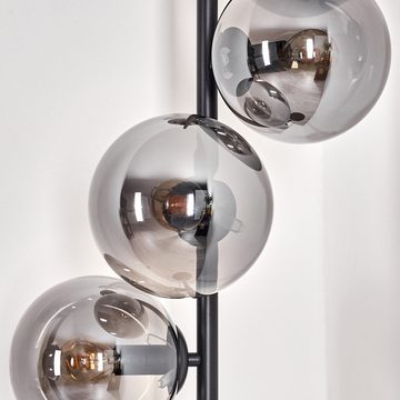 hofstein Stehlampe Stehlampe aus Metall/Glas in Schwarz/Rauchfarben, ohne Leuchtmittel, Leuchte mit Glasschirmen (15cm),Schalter, 6 xE14, ohne Leuchtmittel