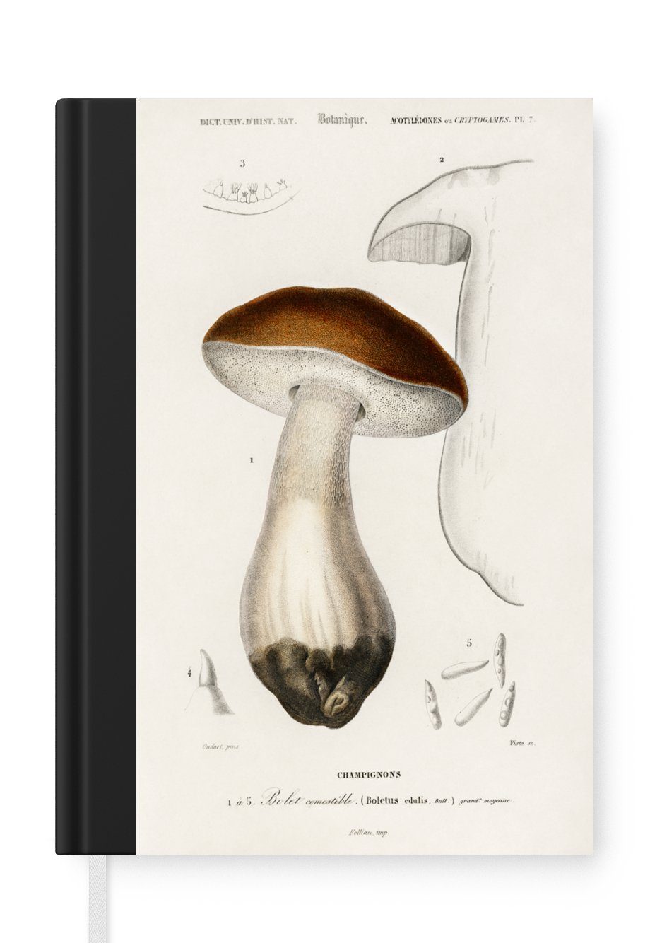 MuchoWow Notizbuch Pflanze - Jahrgang - Botanica, Journal, Merkzettel, Tagebuch, Notizheft, A5, 98 Seiten, Haushaltsbuch