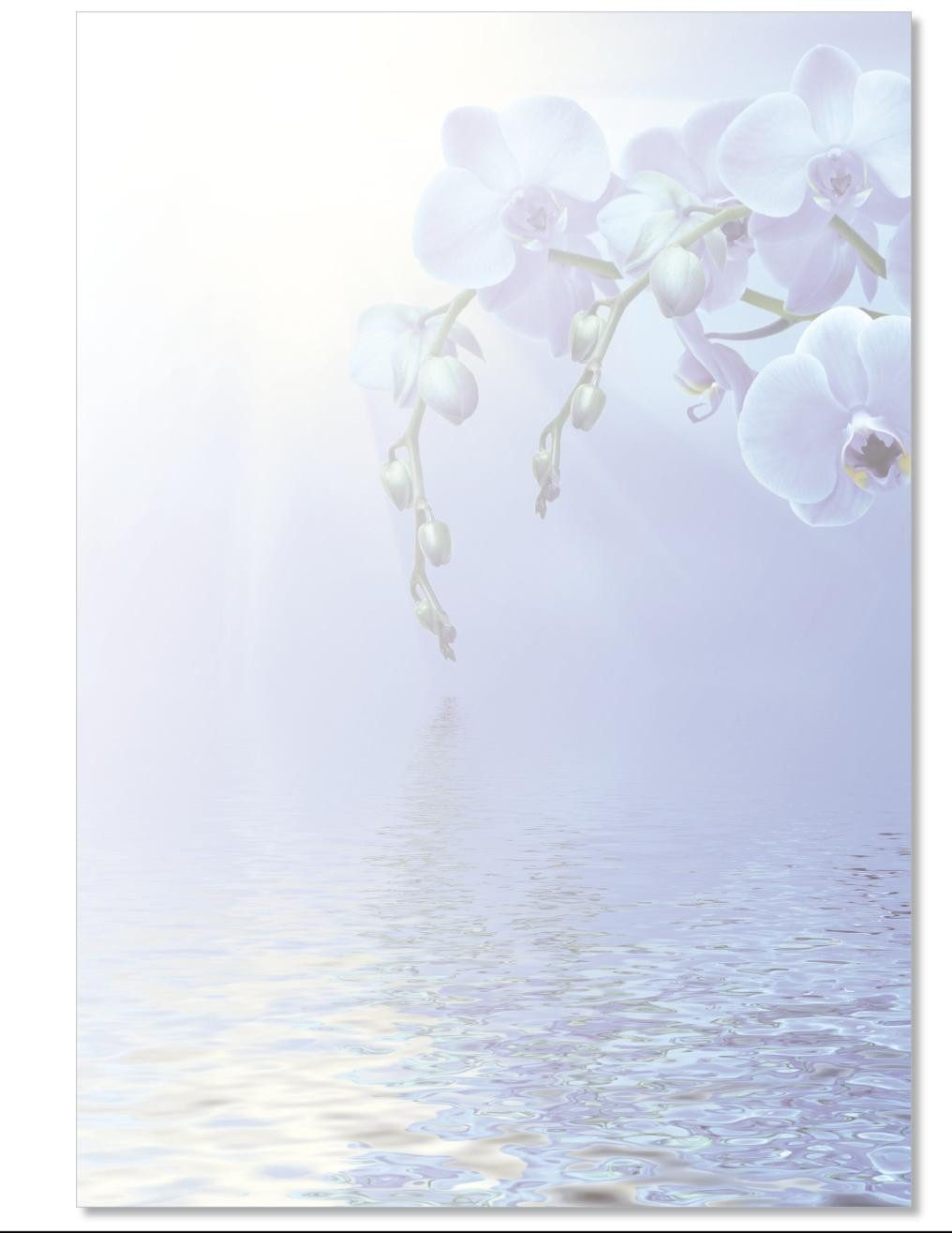 Briefpapier Motivpapier Blumenvielfalt, ganzseitig DIN A4, gut beschreibbar