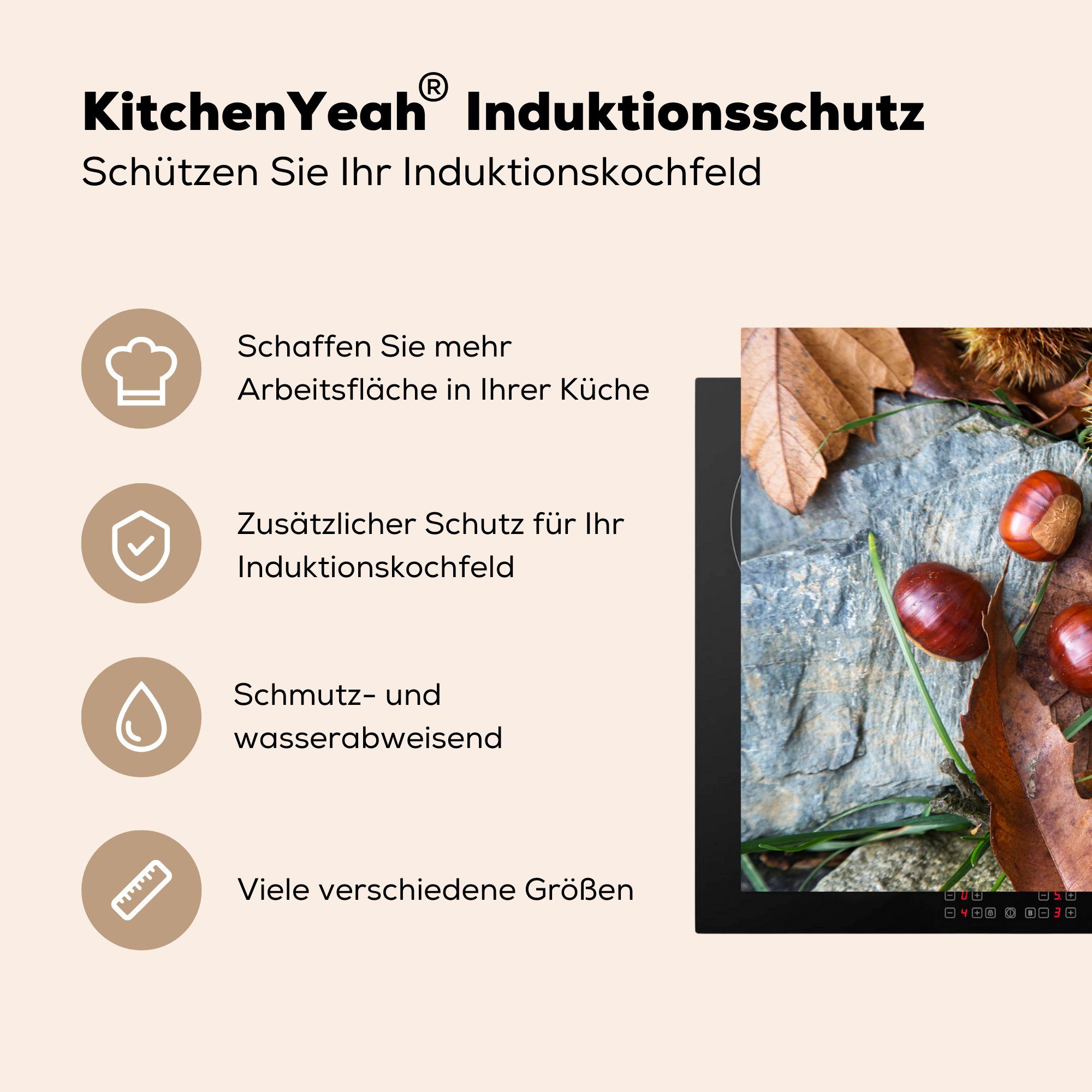 küche, Herdblende-/Abdeckplatte MuchoWow cm, Schutz Vinyl, tlg), Esskastanien der in Herbstsonne, 81x52 Ceranfeldabdeckung Induktionskochfeld die für (1