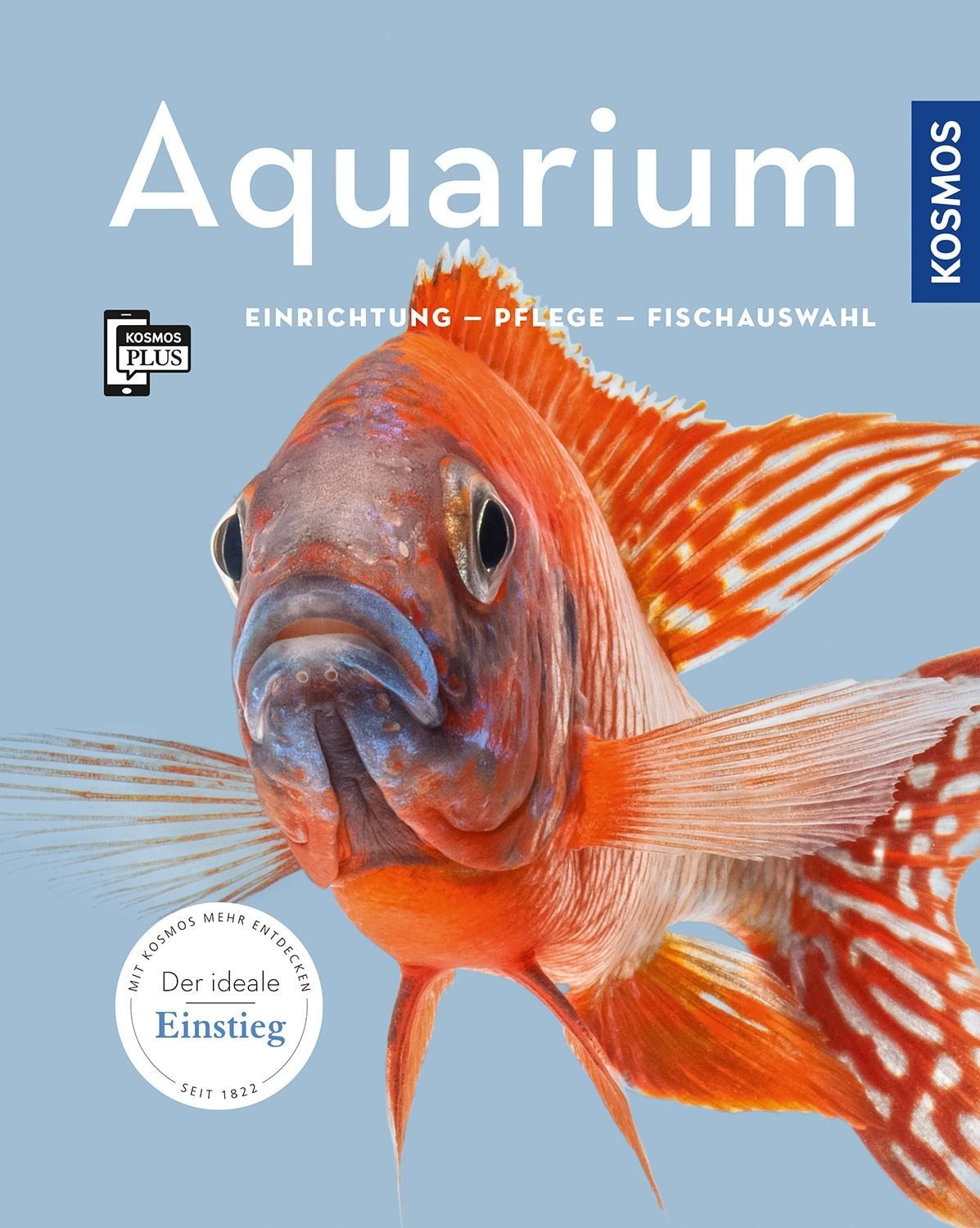 Aquarium / Angela Beck
