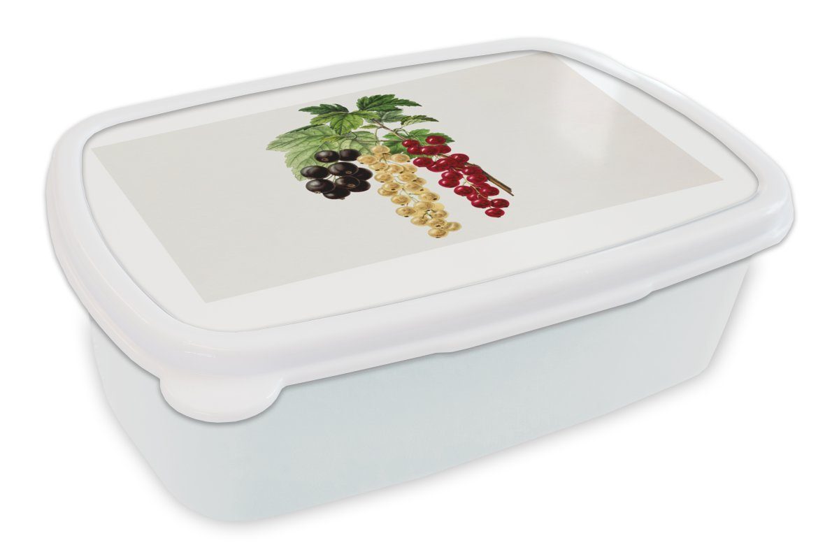 MuchoWow Lunchbox Lebensmittel - Beeren - Obst, Kunststoff, (2-tlg), Brotbox für Kinder und Erwachsene, Brotdose, für Jungs und Mädchen weiß