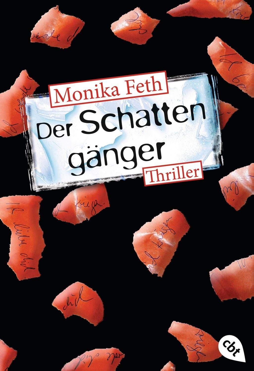 Der Schattengänger / Erdbeerpflücker-Thriller Band 4 / Monika Feth