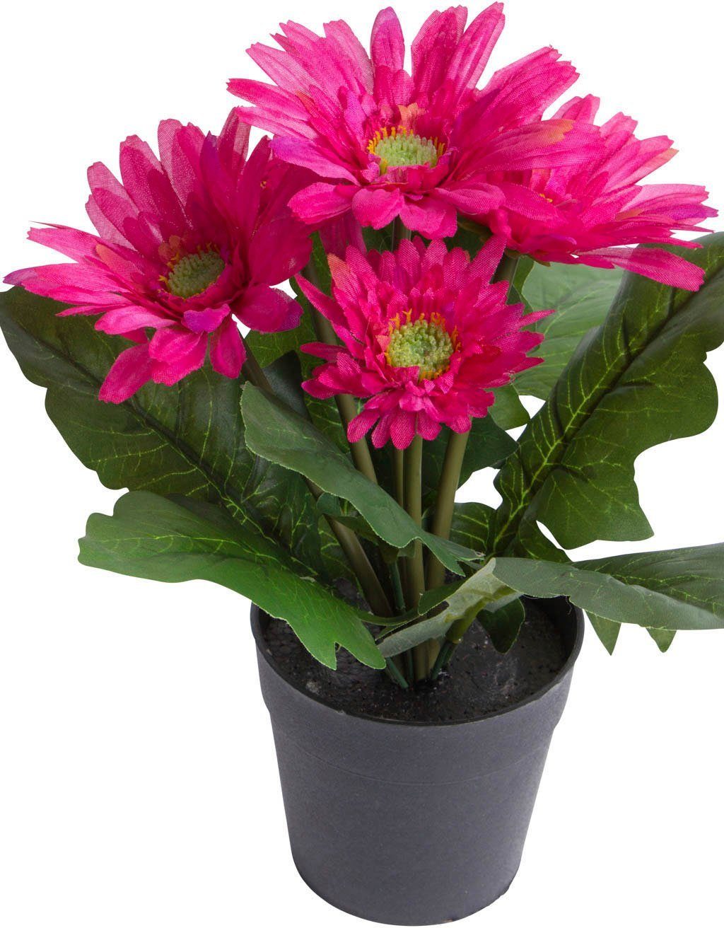 Kunstblume Gerbera mit 5 Blüten, Botanic-Haus, günstig online kaufen