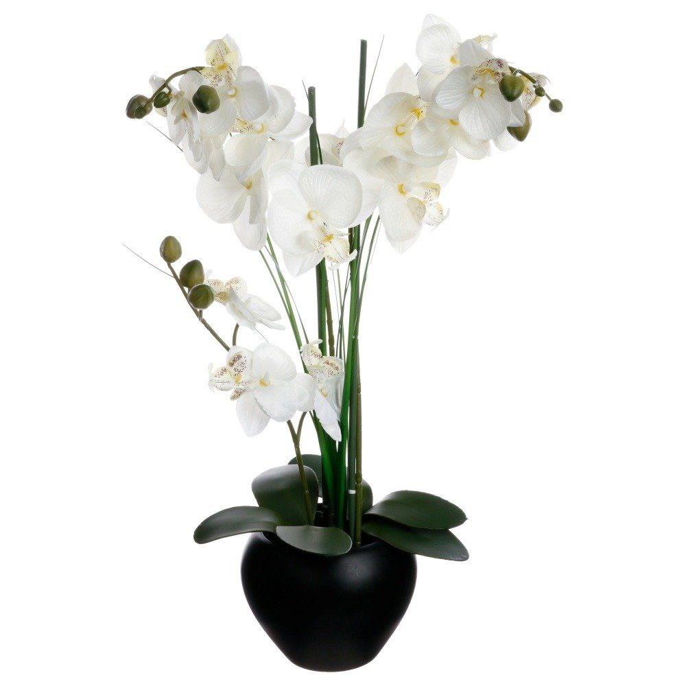 Kunstpflanze Zimmerpflanze, Atmosphera Créateur d'intérieur, Höhe 53 cm