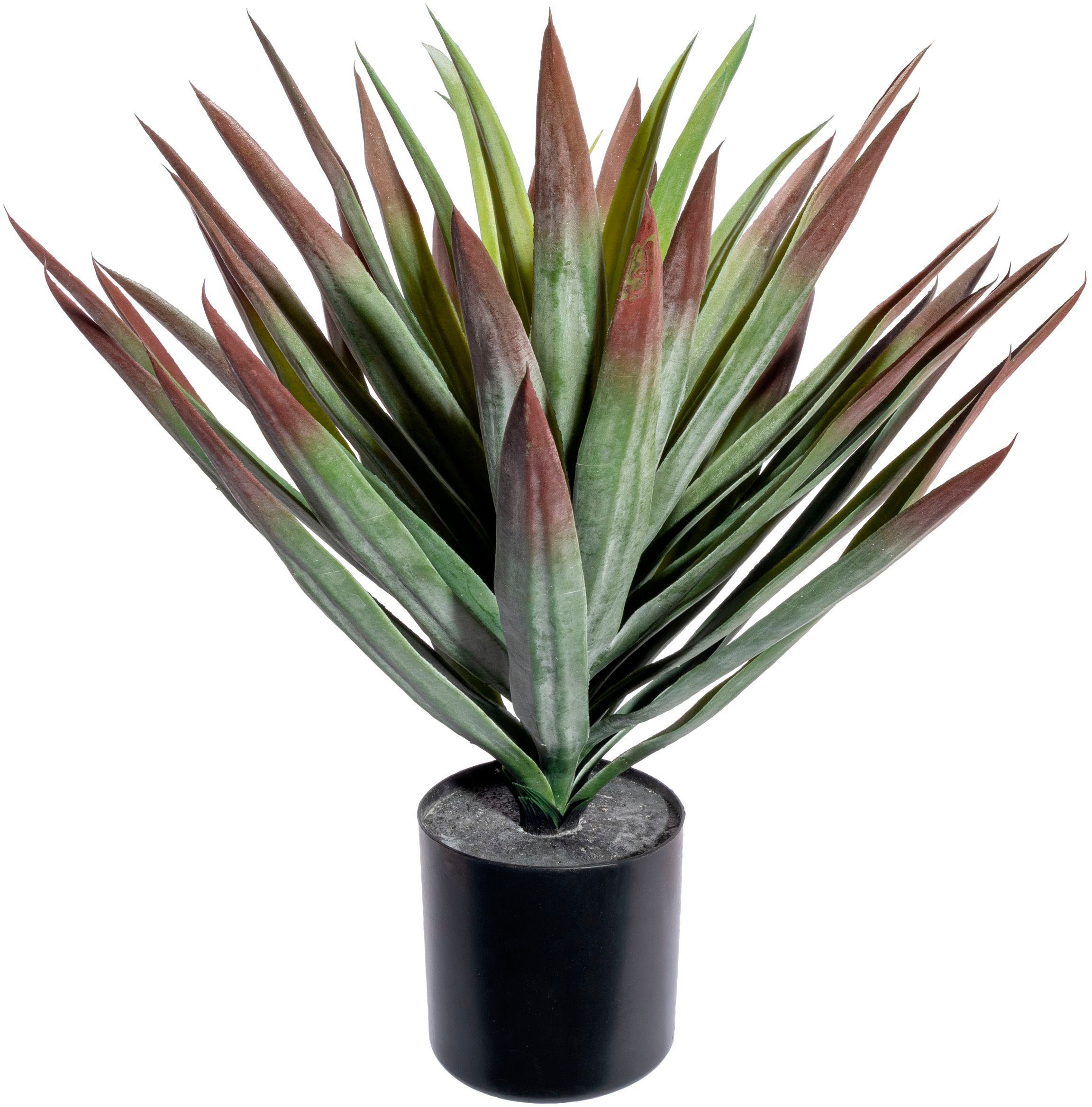 Künstliche Zimmerpflanze Yucca Sukkulente, Creativ green, Höhe 48 cm