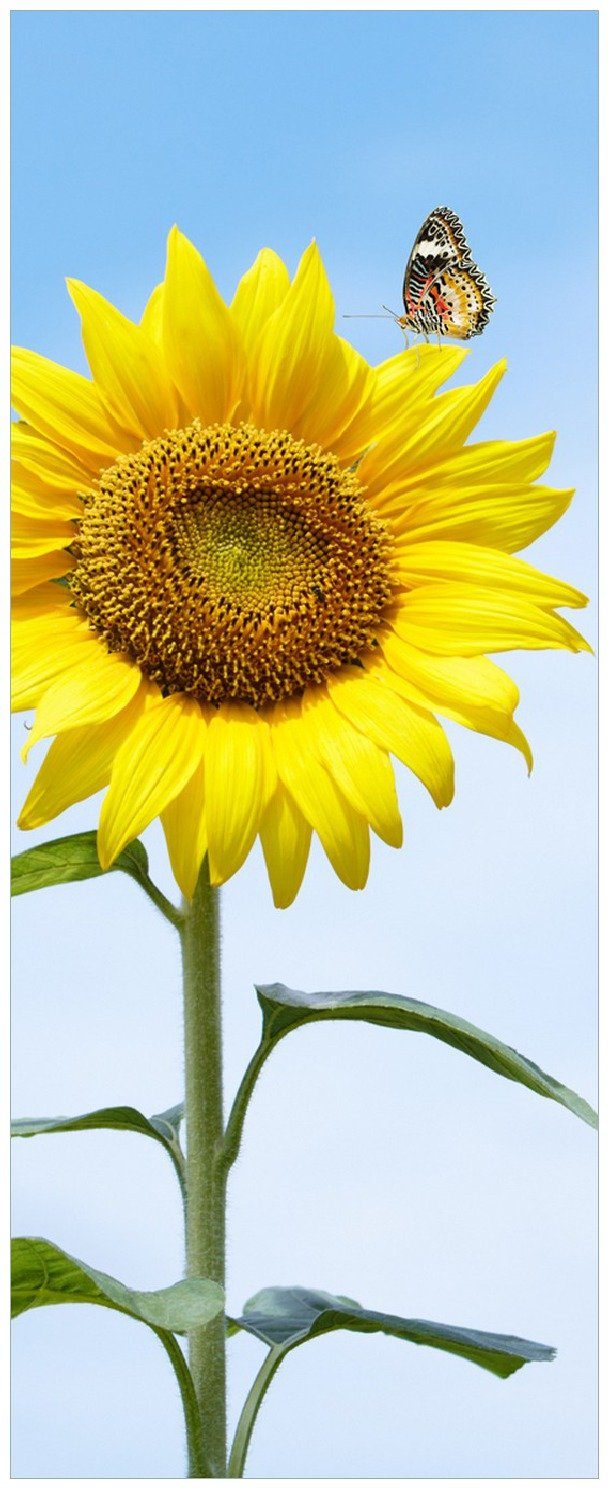 Wallario Memoboard Sonnenblume mit Schmetterling