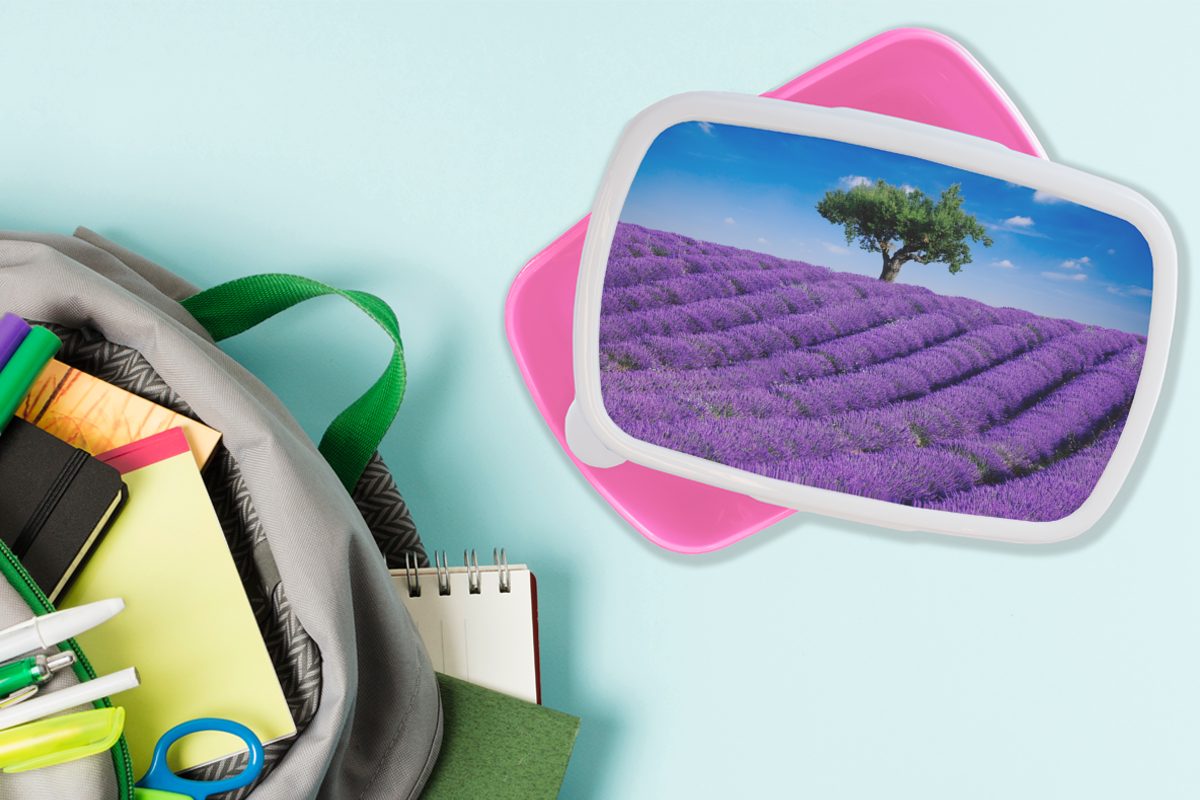 Brotdose Lavendelfeldes, MuchoWow Erwachsene, Eine für rosa eines Brotbox Kunststoff, Snackbox, Kunststoff Kinder, (2-tlg), Nahaufnahme Mädchen, Lunchbox