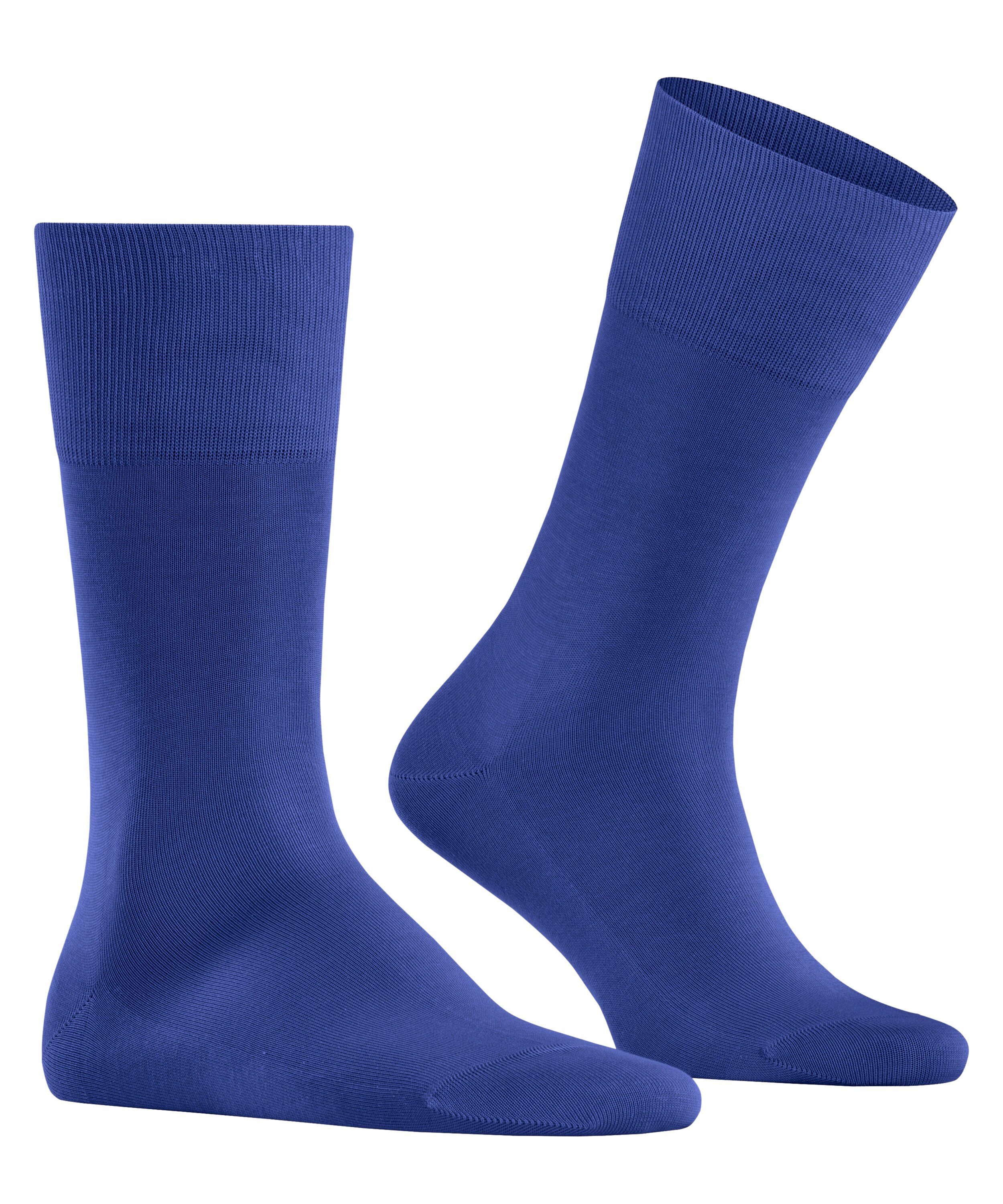 Socken Tiago FALKE (6838) (1-Paar) reflex blue