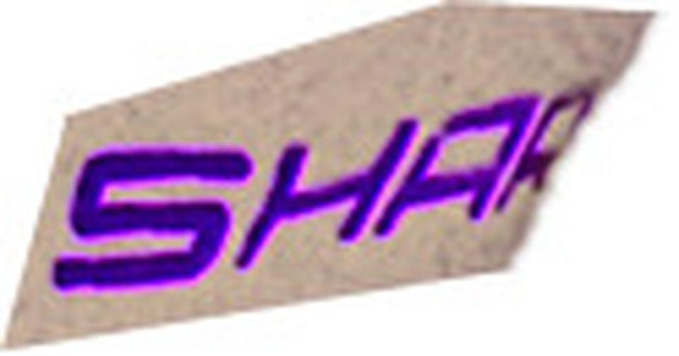 Leki Langlaufhandschuhe PRC Shark