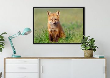 Pixxprint Leinwandbild Kleiner Fuchs, Wanddekoration (1 St), Leinwandbild fertig bespannt, in einem Schattenfugen-Bilderrahmen gefasst, inkl. Zackenaufhänger
