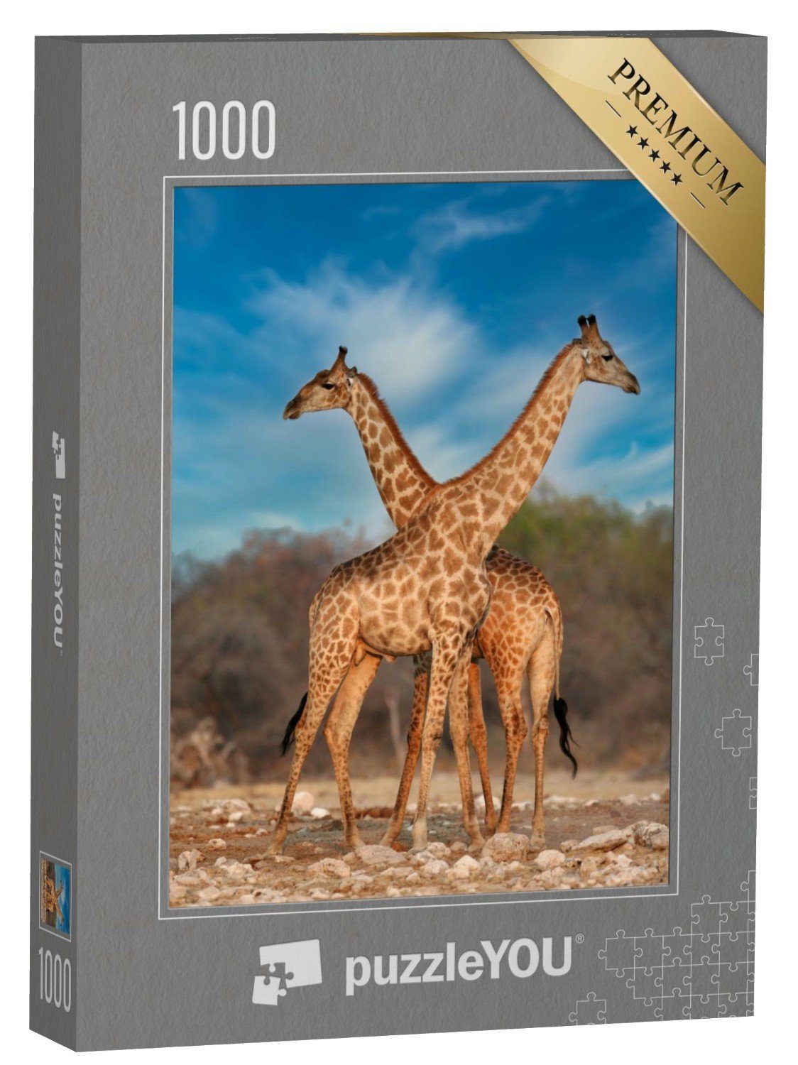 puzzleYOU Puzzle Zwei Giraffen, 1000 Puzzleteile, puzzleYOU-Kollektionen Safari, Giraffen, Tiere in Savanne & Wüste