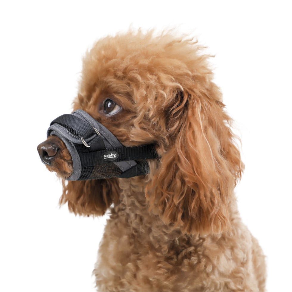 Nobby Maulkorb Nobby Hundemaulkorb verstellbar L grau, Nylon