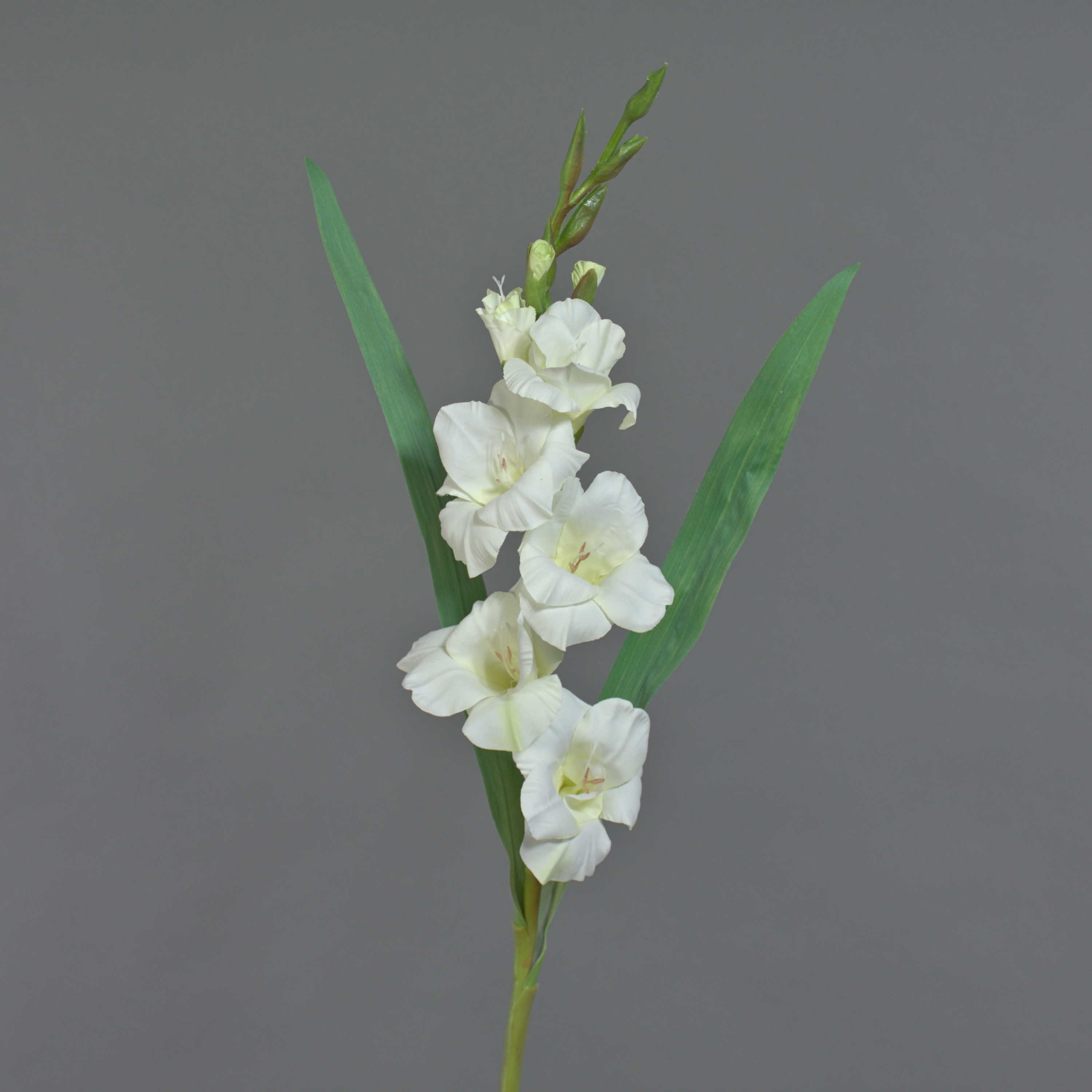 Kunstblume Künstliche Blume Gladiole ELEA, weiß, 85cm, Ø Gladiole, artplants, Höhe 80.0 cm – Bild 2 von 5