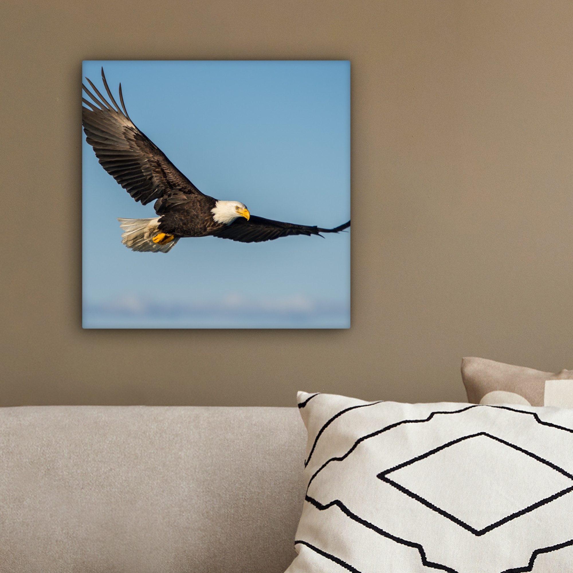 OneMillionCanvasses® Leinwandbild Vogel - Adler - Raubvögel, Fotodruck (1 St), Leinwand Bilder Klein, Wand Dekoration Aesthetic 30x20 cm – Bild 4 von 5