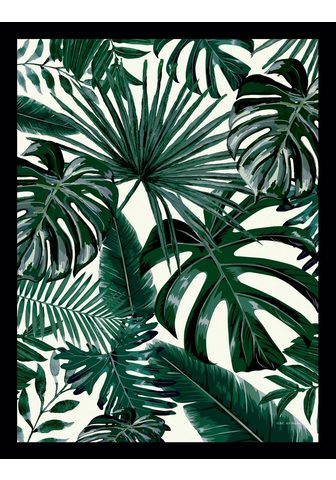 G&C G&C картина »JUNGLE LEAVES&l...