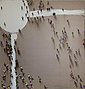 Kayoom Ölbild »Menschengruppe«, 100cm x 100cm, Bild 1