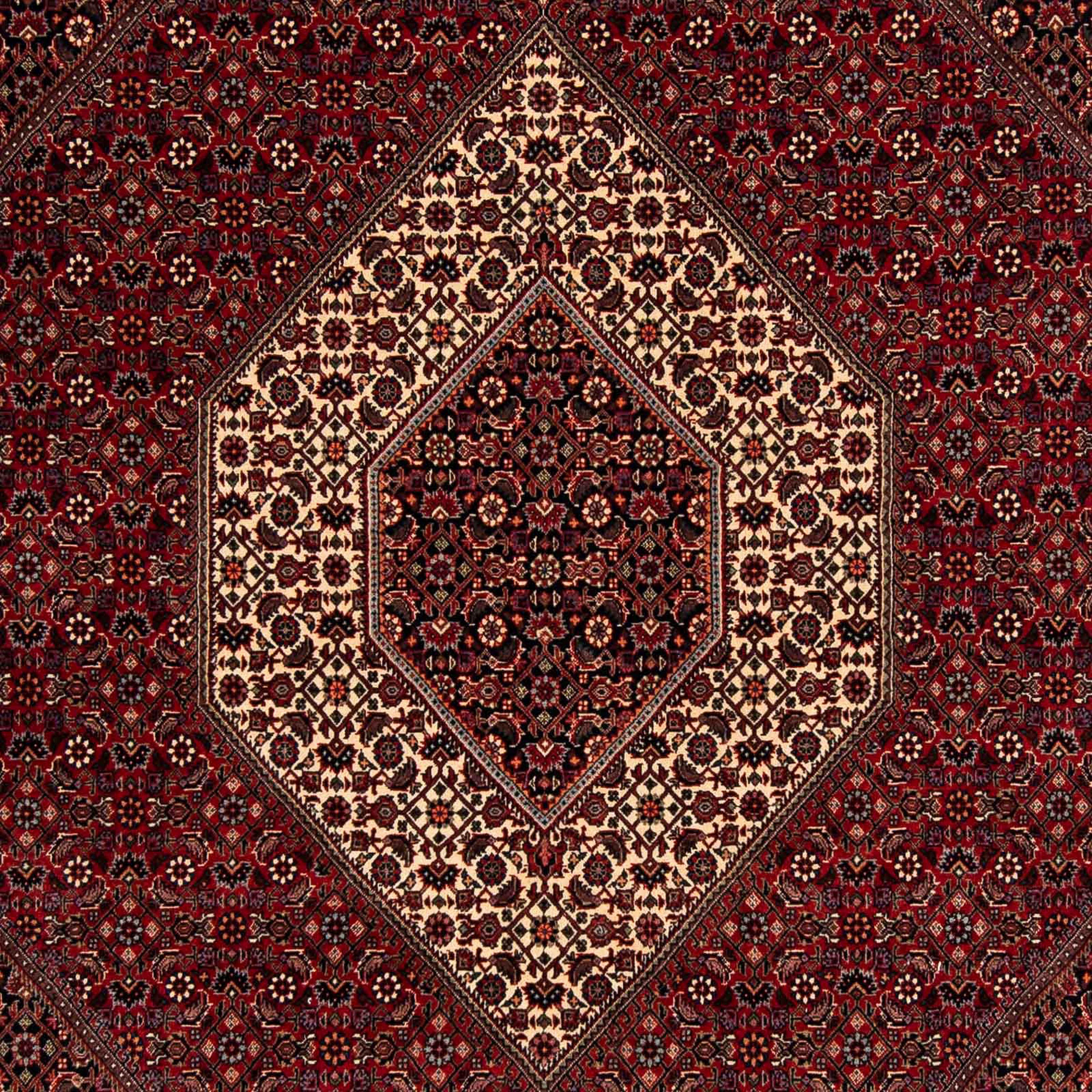 Orientteppich Perser - Einzelstück Handgeknüpft, Höhe: - - rechteckig, Bidjar x 202 dunkelrot, morgenland, 15 Zertifikat mit cm Wohnzimmer, mm, 247