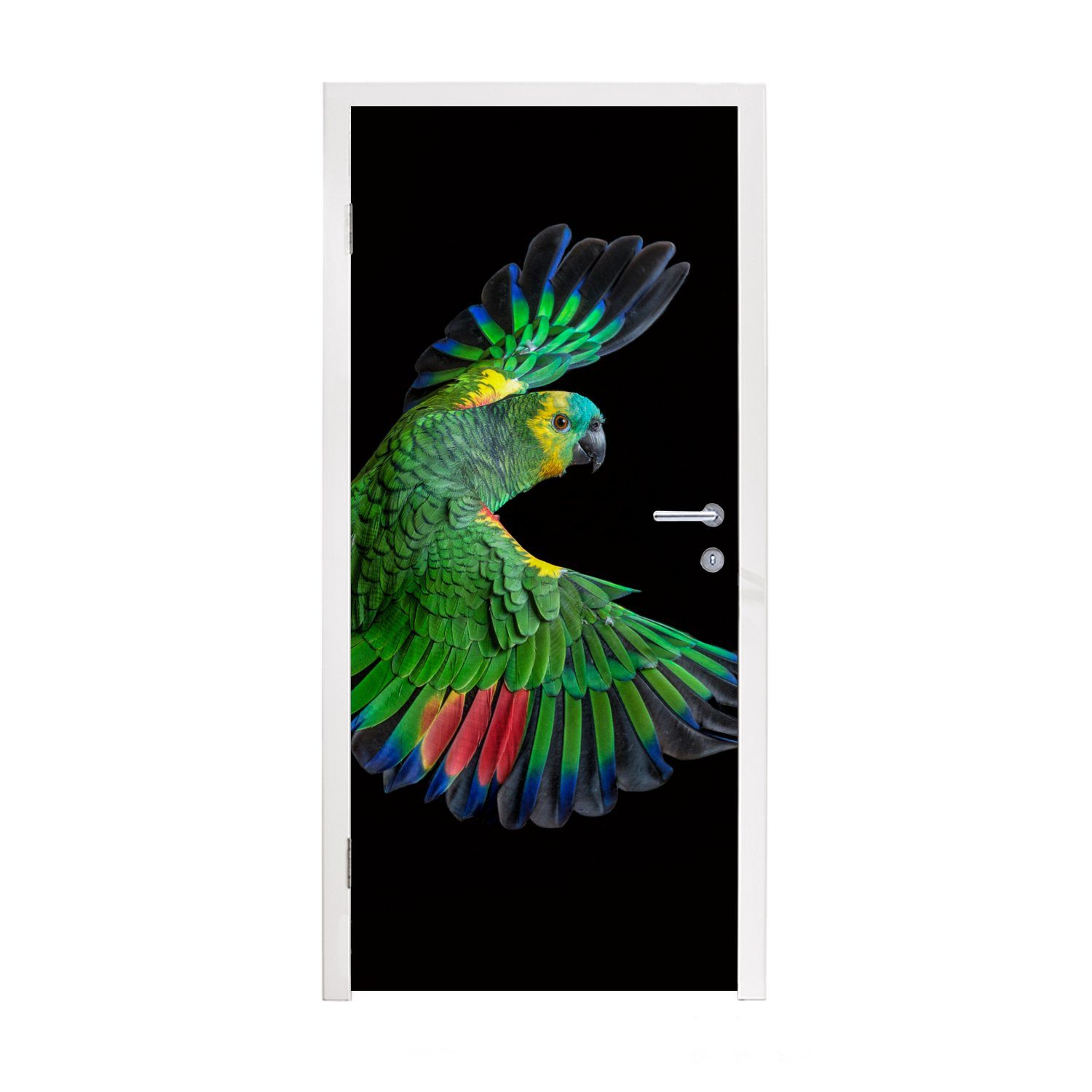 St), Türtapete Papagei, Nahaufnahme für Türaufkleber, Matt, bunter cm MuchoWow Fototapete Tür, 75x205 bedruckt, (1