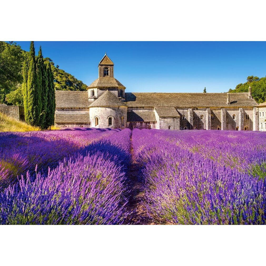 Castorland Puzzle Puzzle Lavendelfeld in der günstig online kaufen