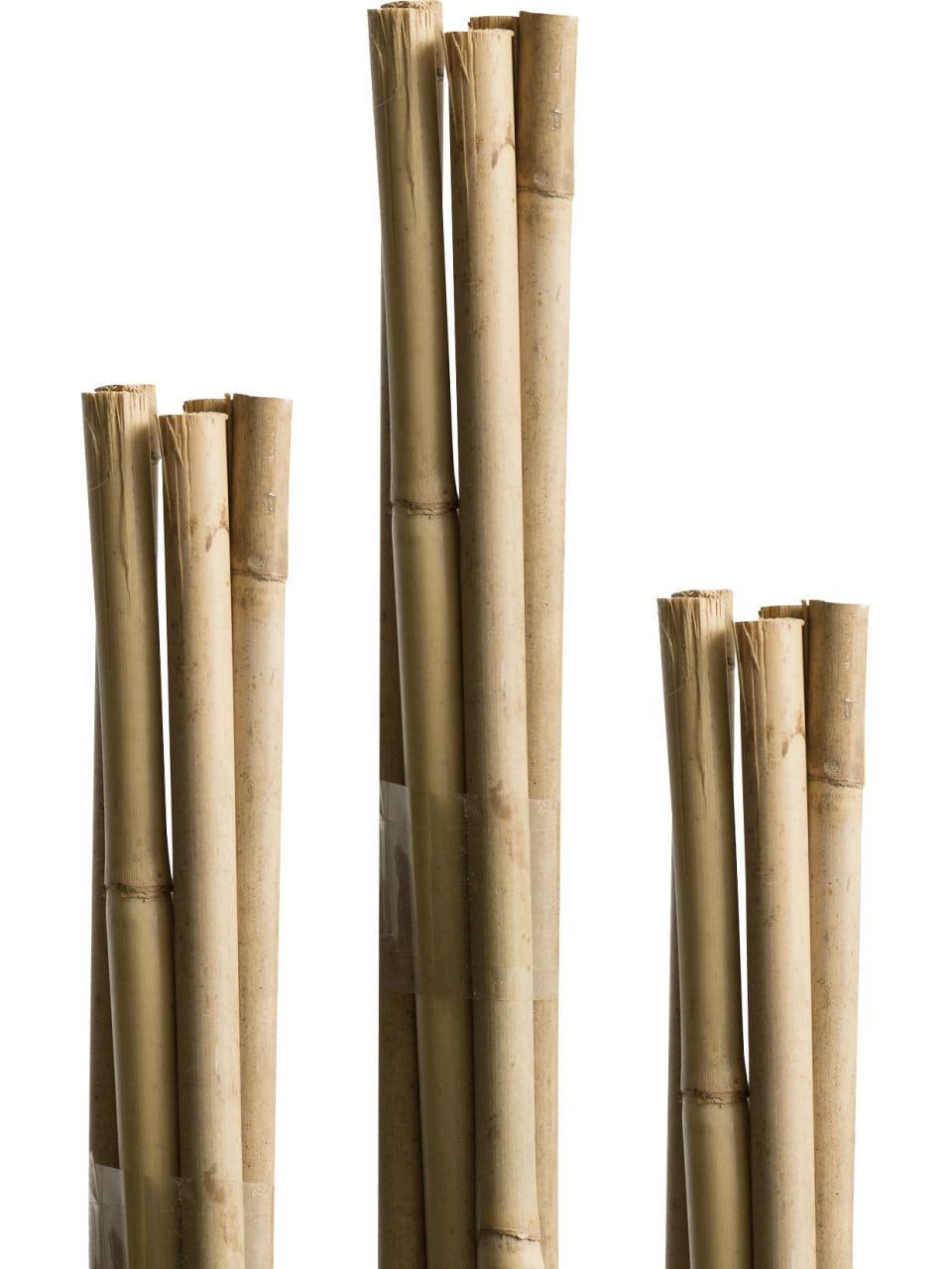 Windhager Rankhilfe Windhager Tonkinstäbe 60cm 10 Stück