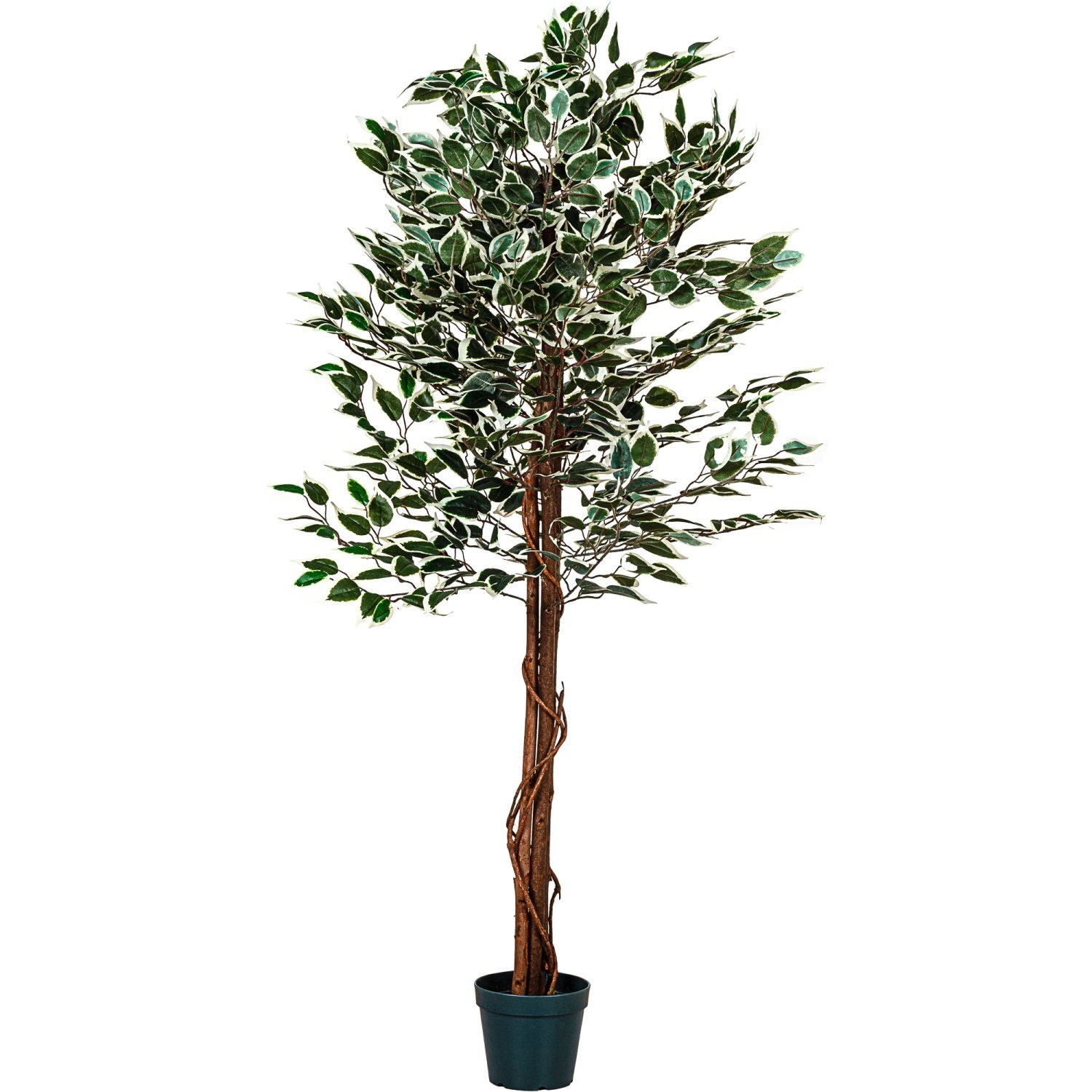 Größenwahl Benjamini Kunstbaum Blätter, Echtholzstamm, 714 Kunstpflanze 160 cm, Ficusbaum PLANTASIA, Ficus 160,00 Höhe Ficusbaum, Künstlicher cm,