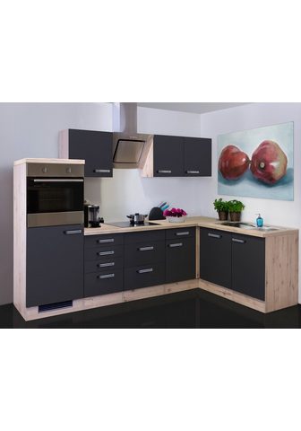 FLEX-WELL Мебель для кухни с техника »Anti...