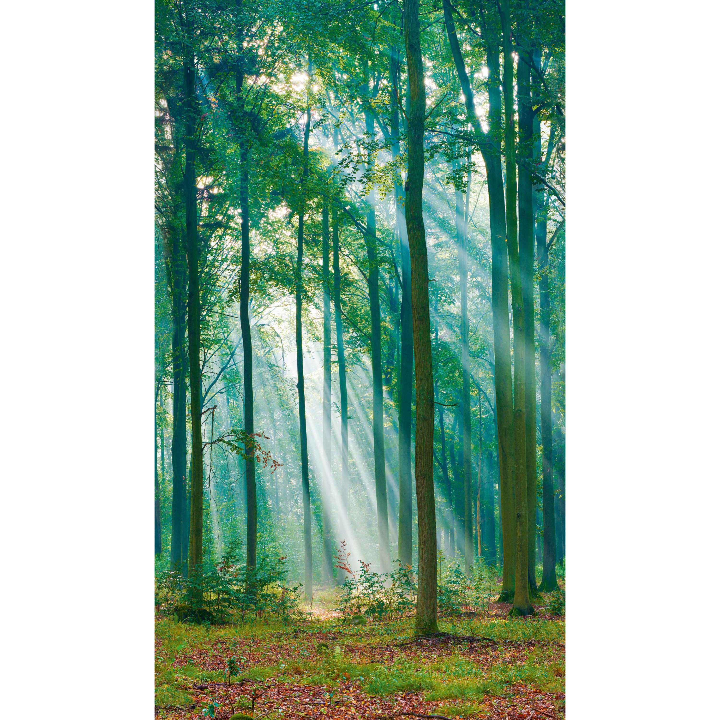 Grandeco Tapete Fototapete Mural - Young Edition - ML6301