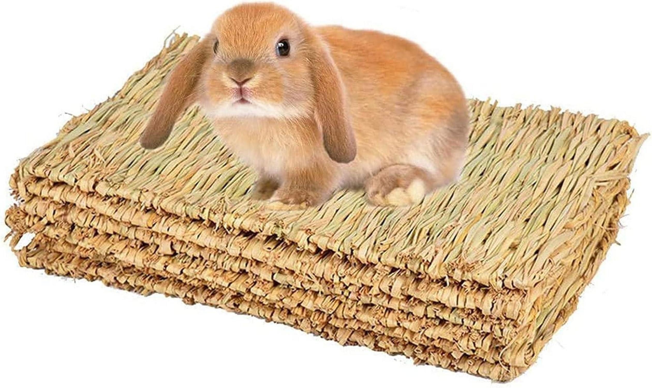 Kleintierkäfig Grasmatte Kaninchen Kauspielzeug Meerschweinchen Chinchilla Hamster