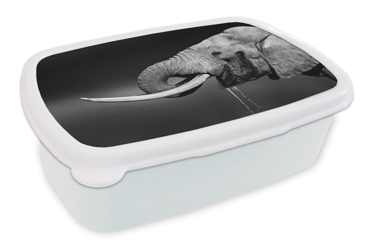 MuchoWow Lunchbox Elefant - Wasser - Tiere - Schwarz - Weiß, Kunststoff, (2-tlg), Brotbox für Kinder und Erwachsene, Brotdose, für Jungs und Mädchen