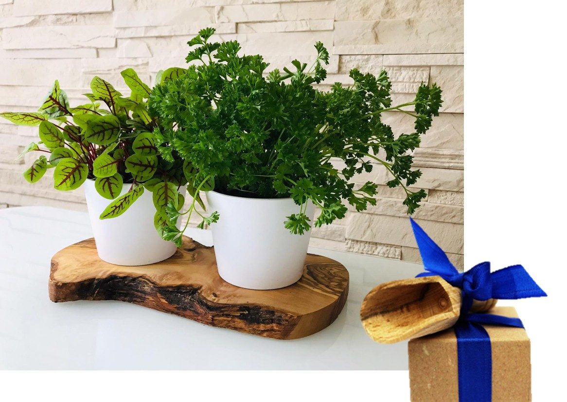 Olivenholz-erleben Kräuterbeet 2er Kräuterstation auf Olivenholz-Sockel (Set, 3 St., 1x Olivenholzbrett, 2x Keramikübertöpfe, plus Überraschung), elegante Keramikübertöpfe, perfekt für direktes Einsetzen von Kräutern