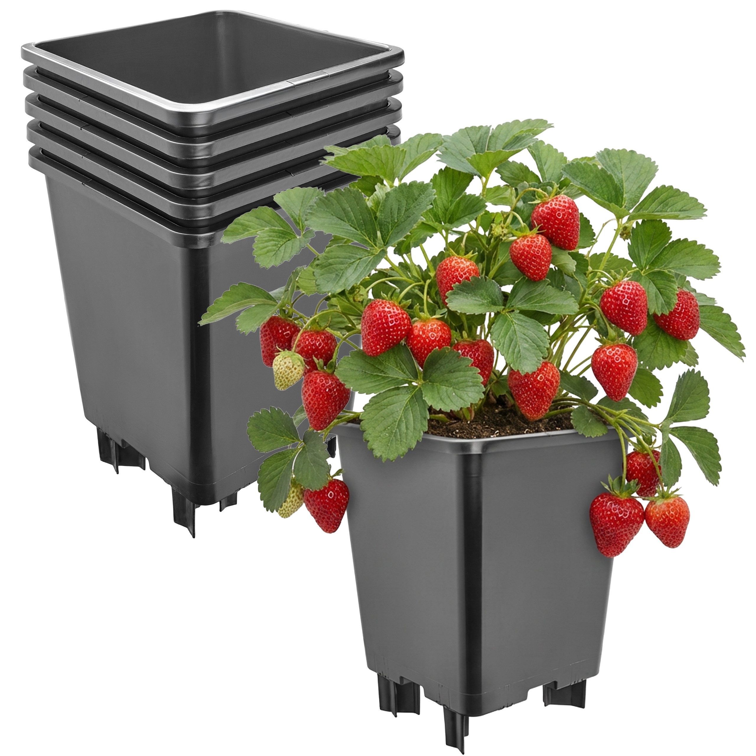 Garronda Blumentopf Kunststoff mit Standfüßen für Erdbeeren und Himbeeren GD-0206 (5 St., 5er Set)