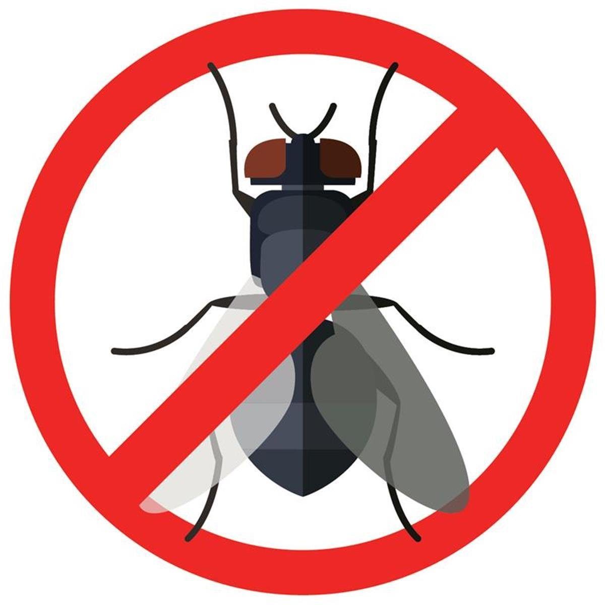 Autan Insektenspray Autan Protection (5er Spray Multi 100ml Pack) Plus Insektenschutz