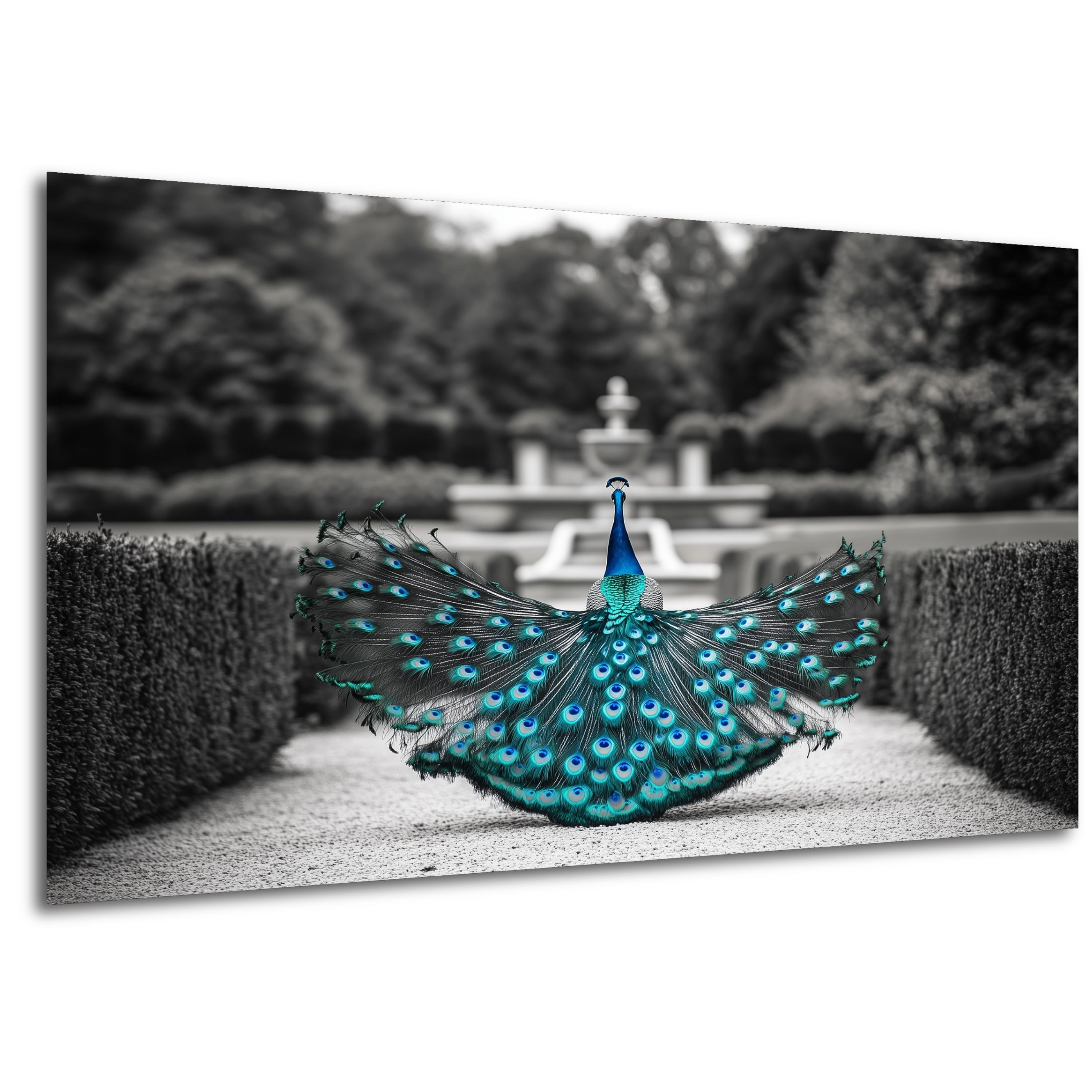 DARO Design Leinwandbild Modern Abstrakt Wandbilder XXL Wandbild Wand Deko Leinwand Bilder, (blauer Pfau - Bild Groß Wohnzimmer Schlafzimmer Küche Esszimmer Einteilig Querformat Fotodruck Leinwände Wanddeko Abstrakte Kunst Boho), 30x20cm