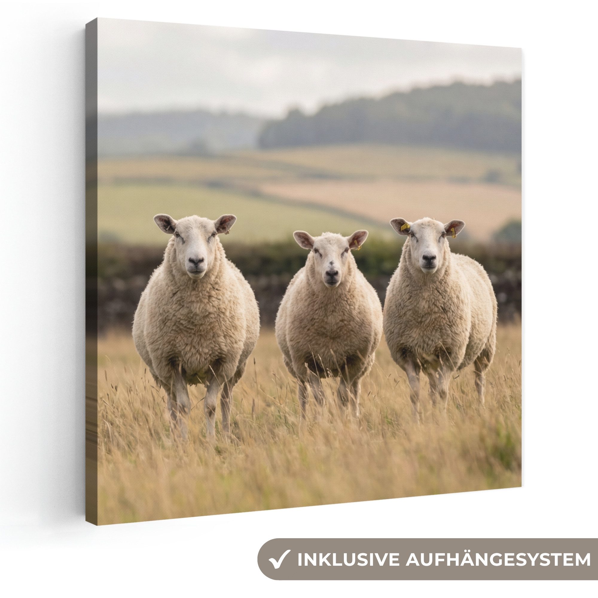 OneMillionCanvasses® Leinwandbild Schafe - Weidelandschaft - Hügel, Fotodruck (1 St), Wandbild, Deko Schlafzimmer Wohnzimmer Flur 20x20 cm