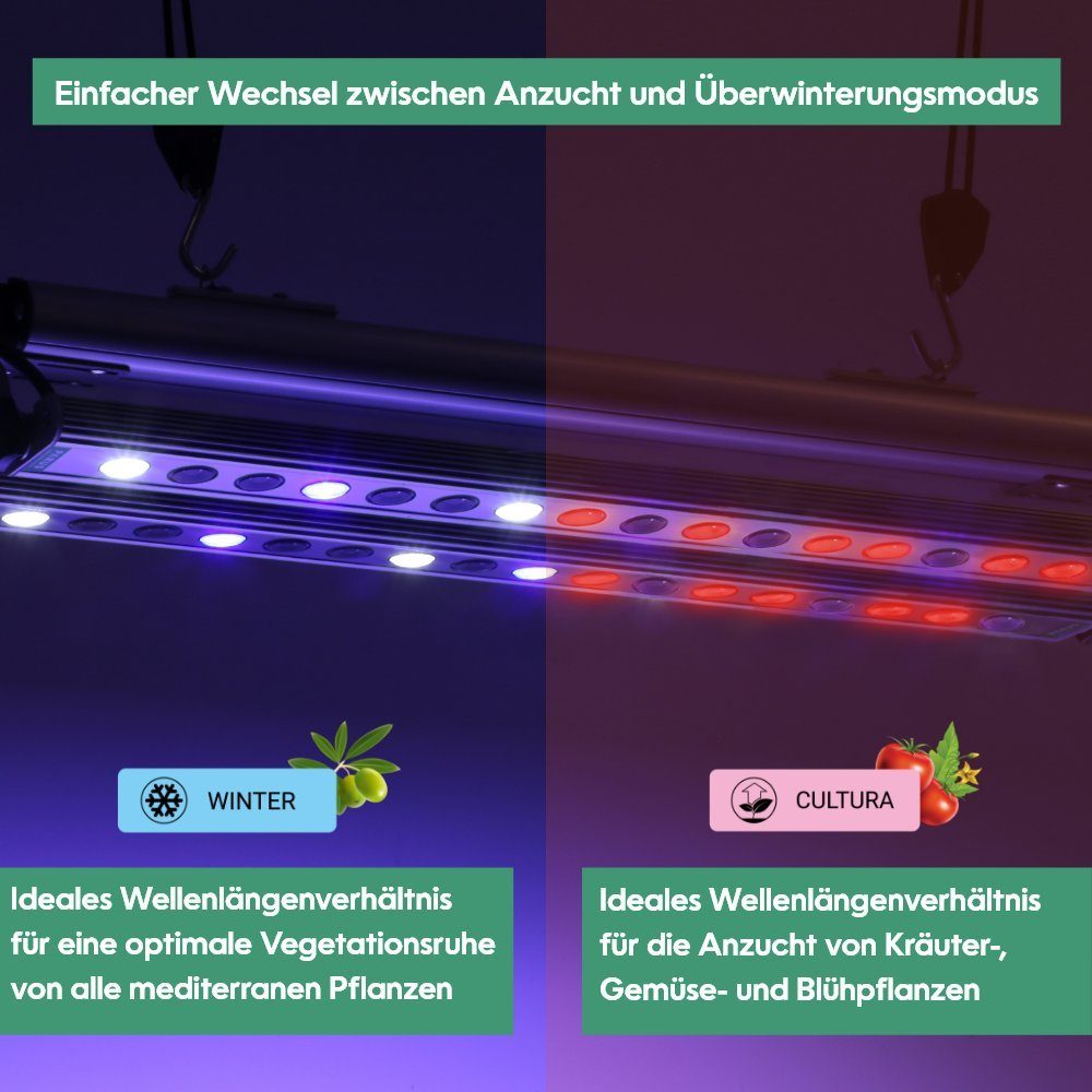 Pflanzenlampe integriert, Winter, Cultur, 60W PARUS Pflanzenarmatur LED Quattro GrowLight